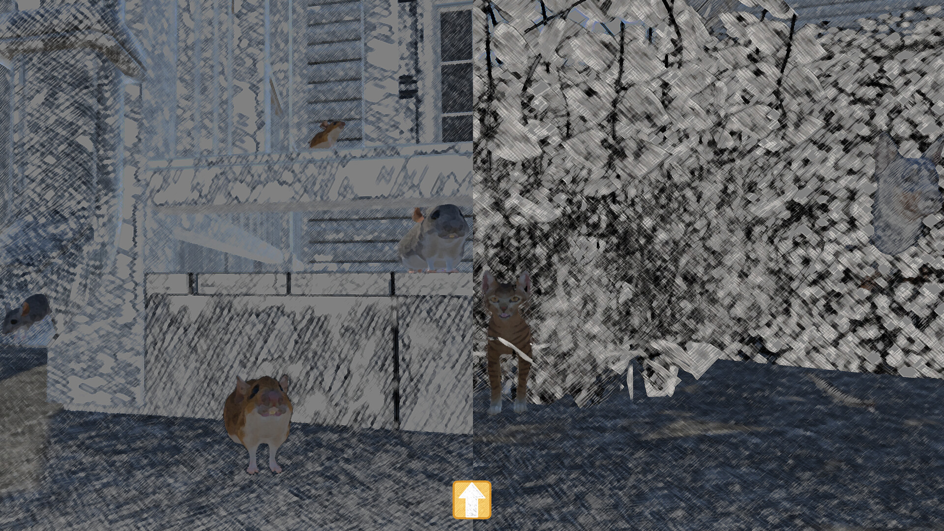 Hidden Tails
