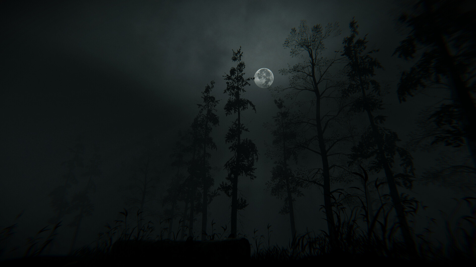 Withered Haven