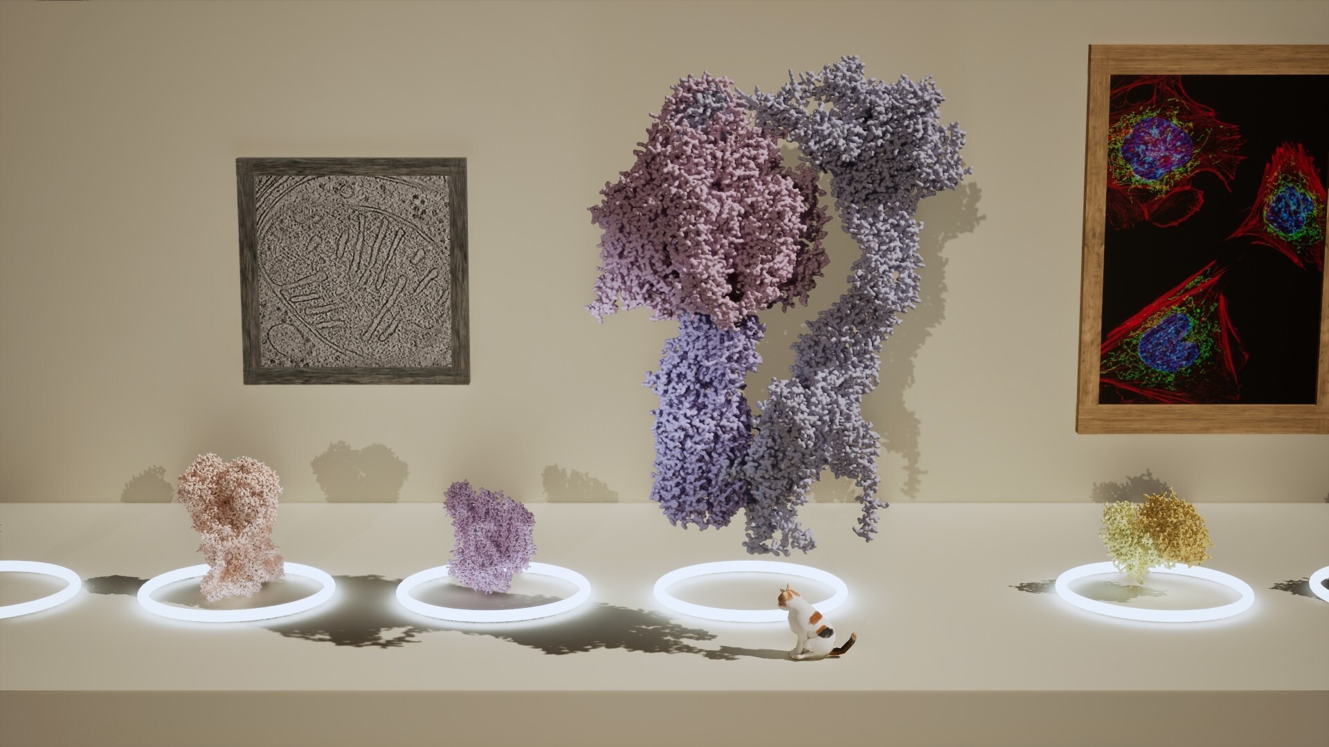 Meowtabolism: Examining Feline Behavior Within Unicellular Algae