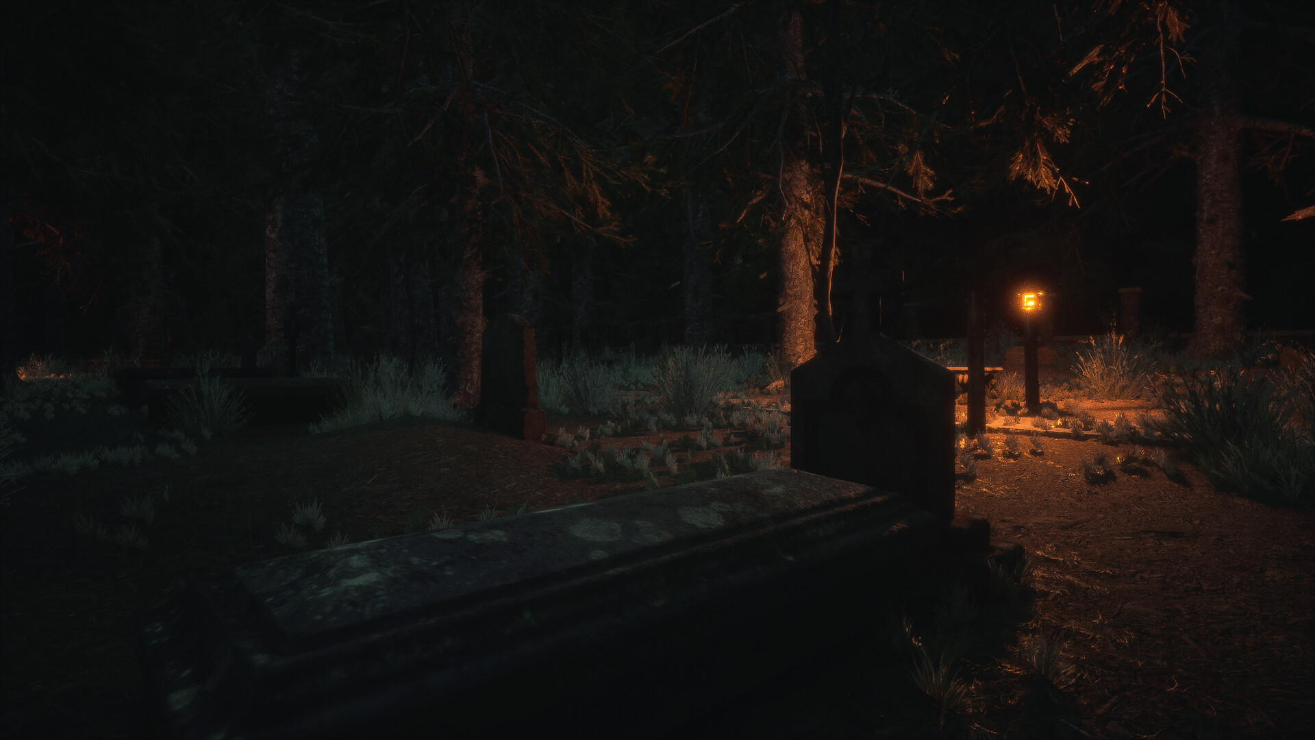 Untold Memories: Potter’s Field