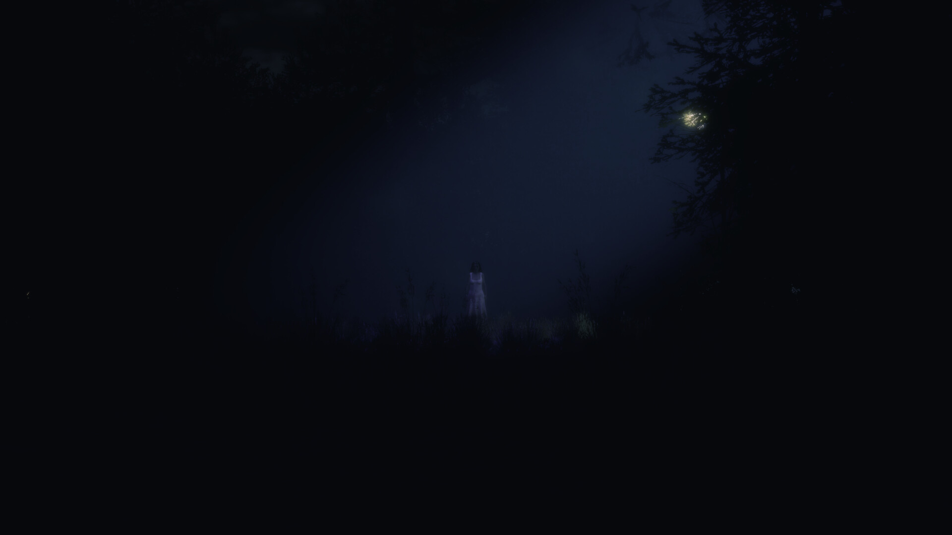 Untold Memories: Potter’s Field