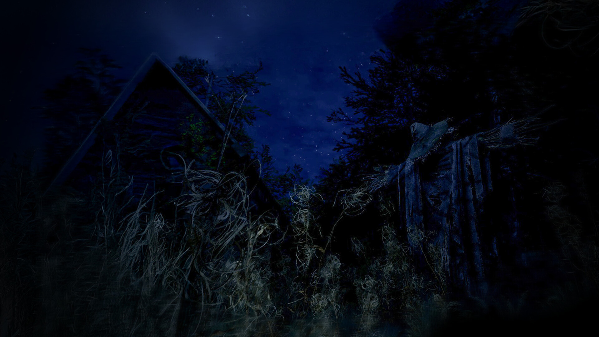 Untold Memories: Potter’s Field