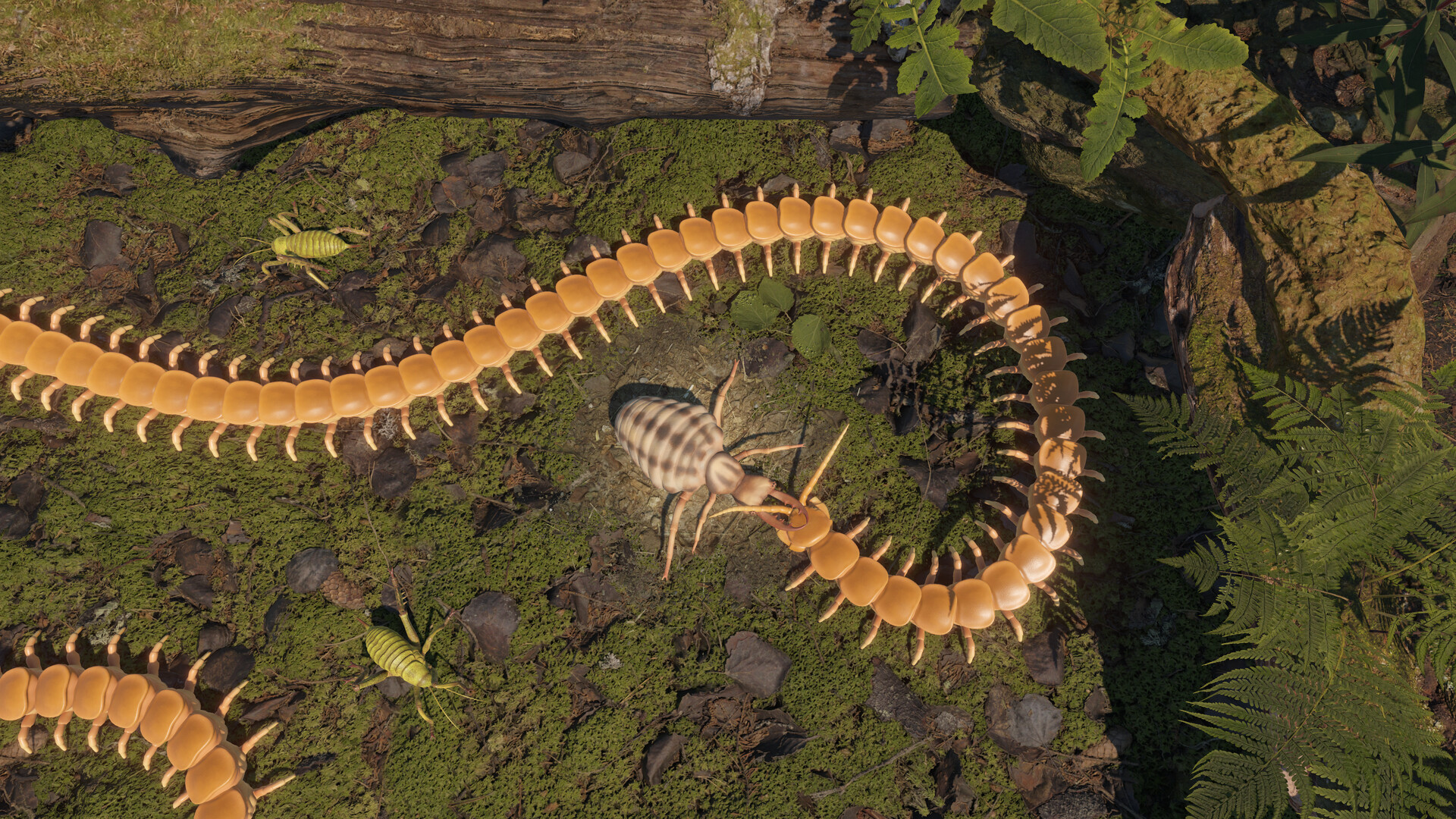 Centipede Simulator