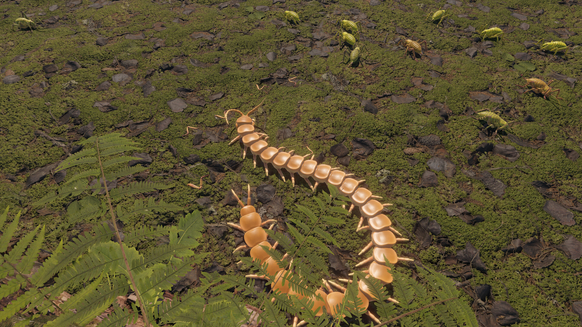 Centipede Simulator