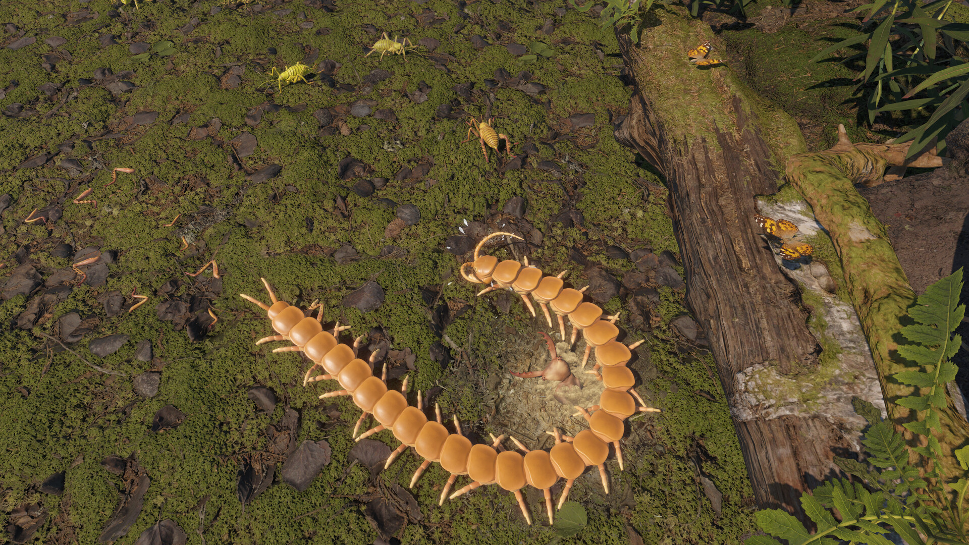 Centipede Simulator
