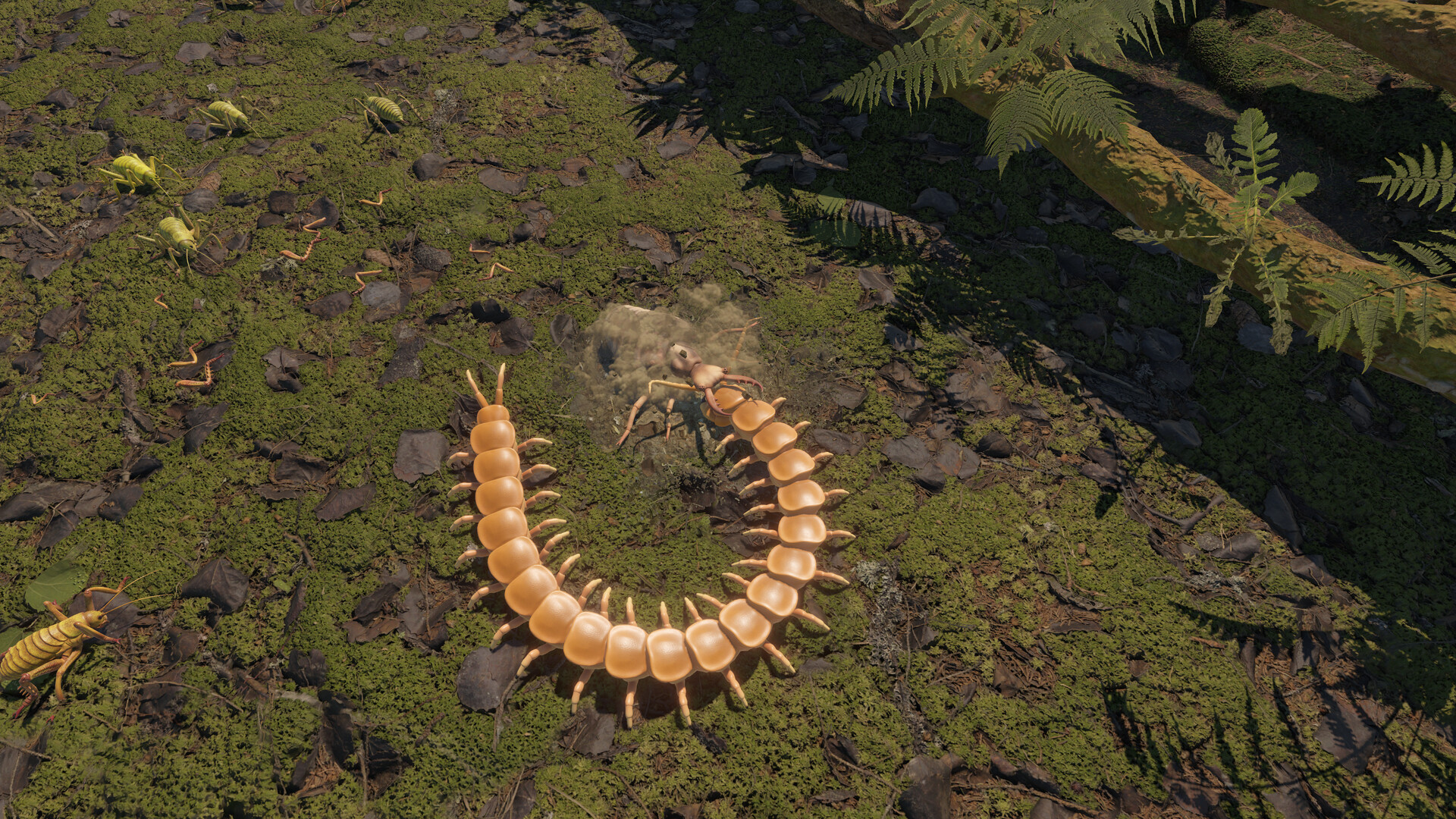 Centipede Simulator