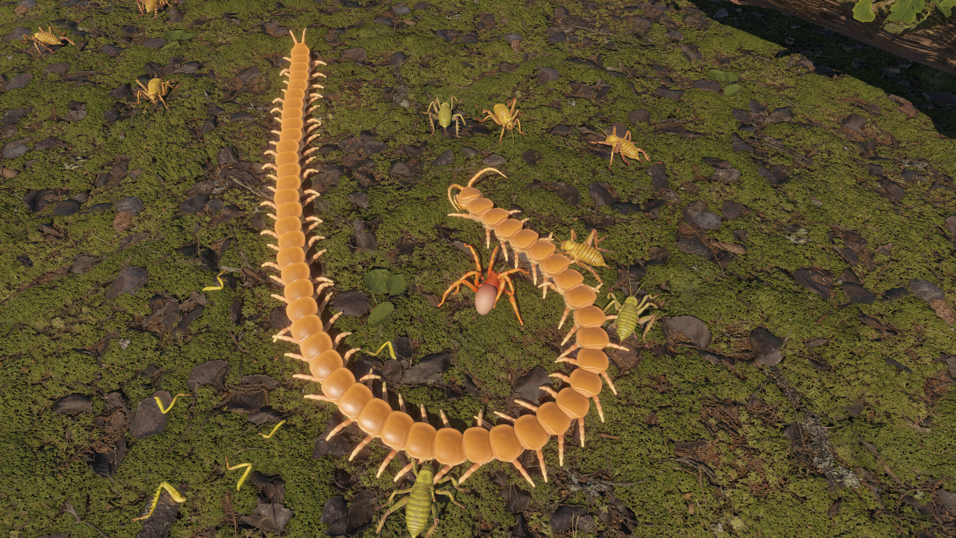 Centipede Simulator