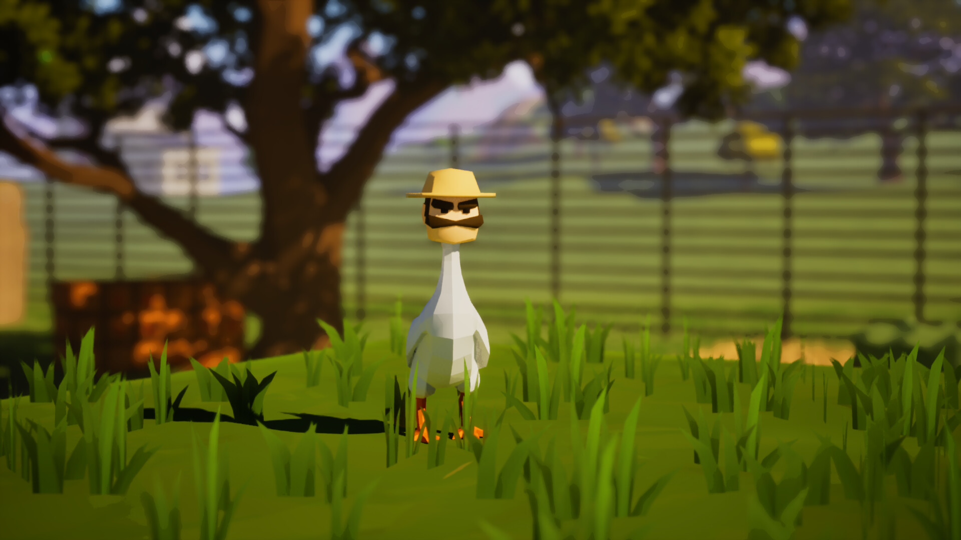 Mark the Headless Chicken