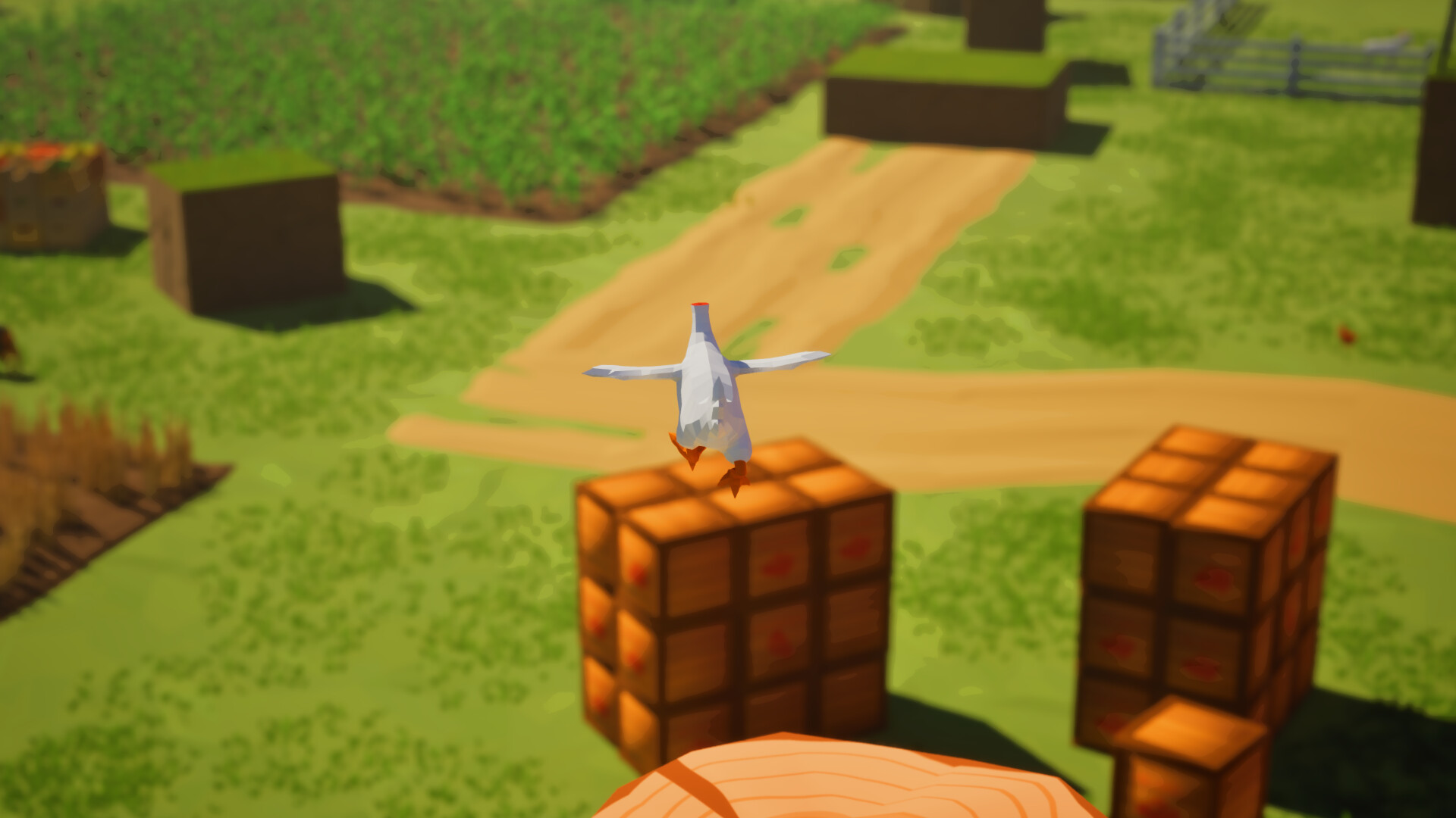 Mark the Headless Chicken