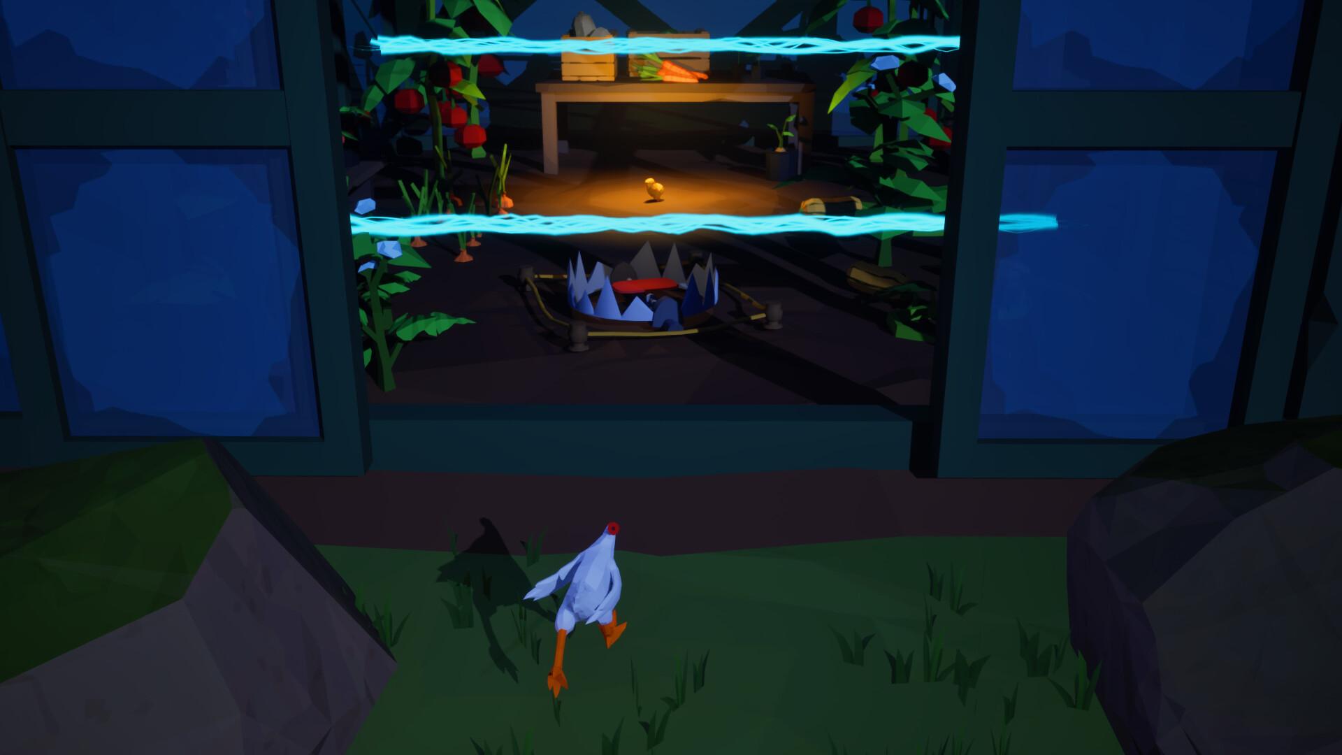 Mark the Headless Chicken