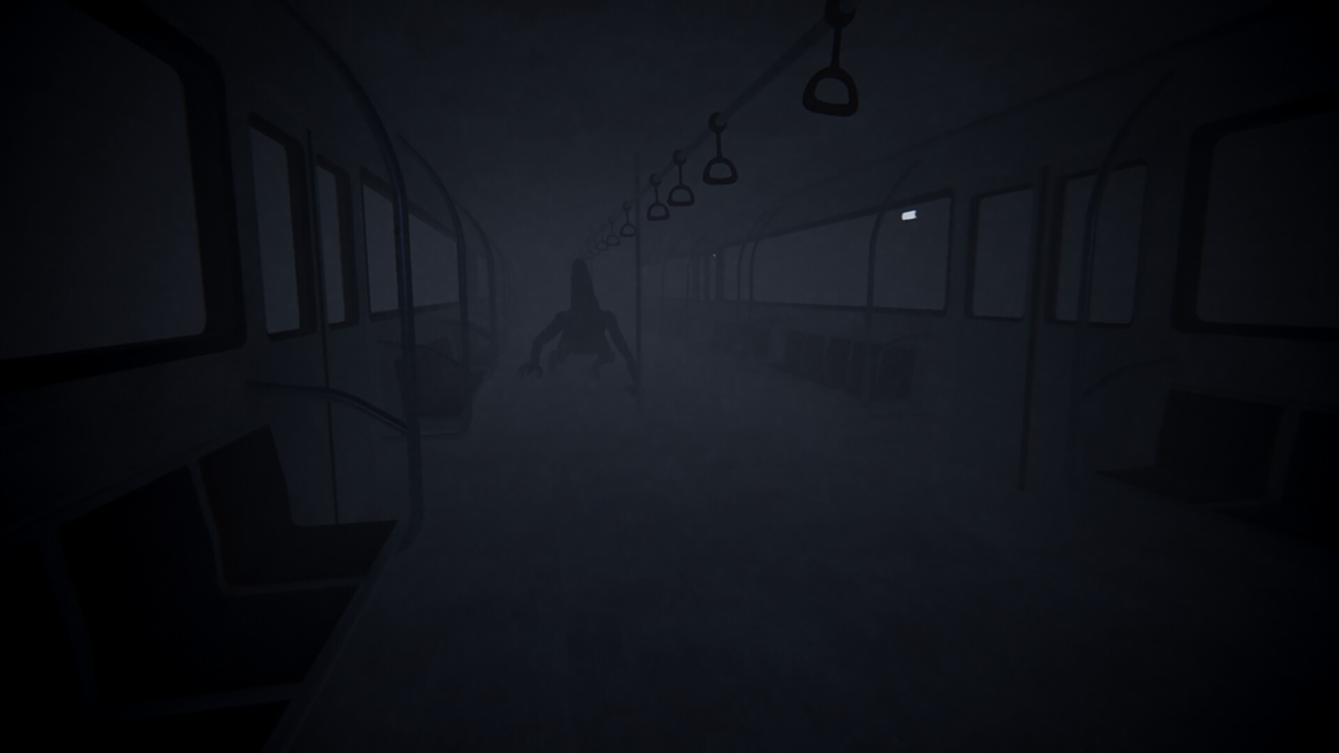 Midnight Train