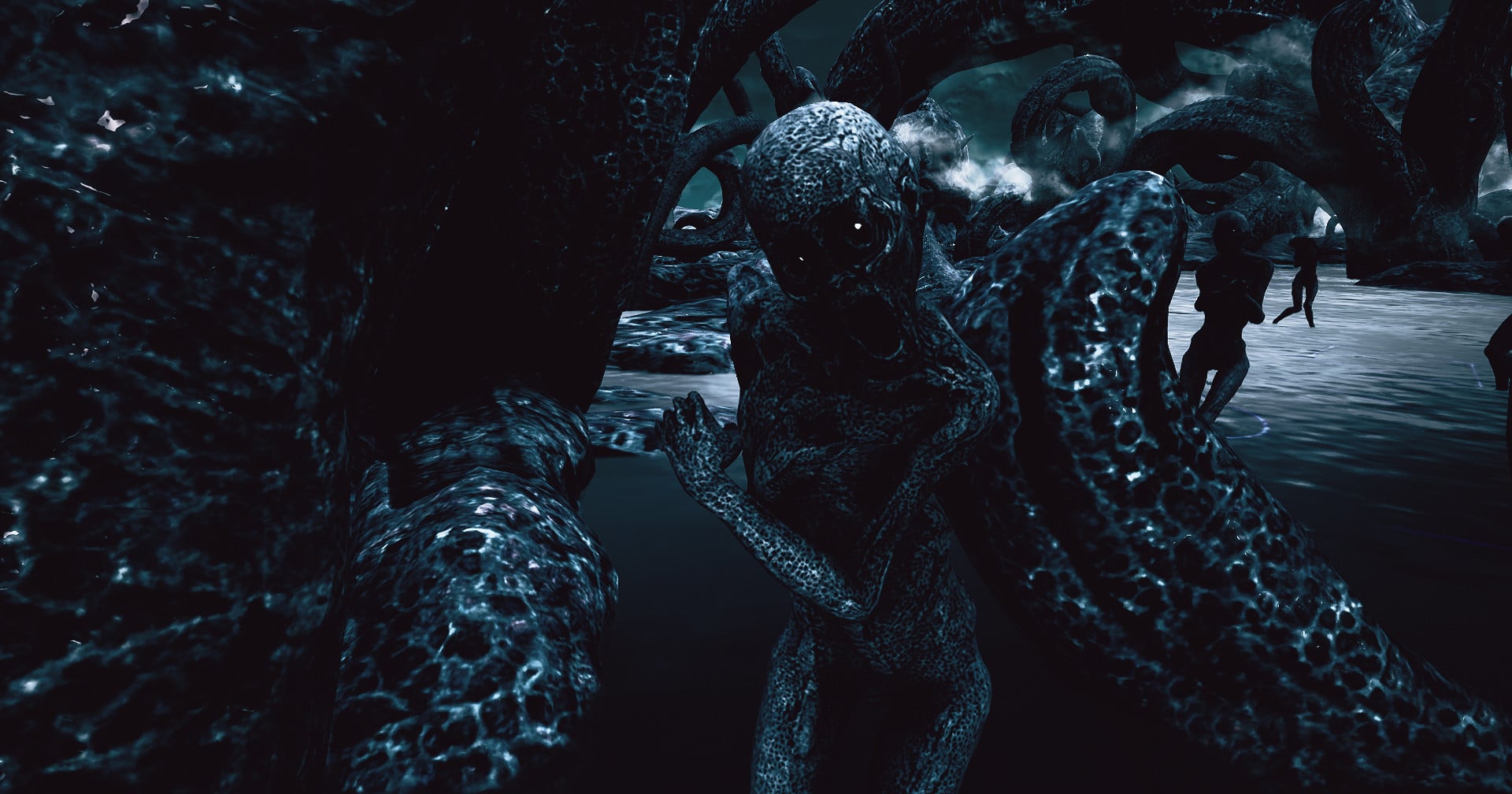 The Shore: Enhanced Edition