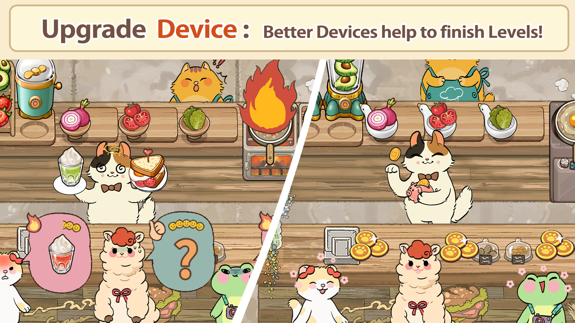 Purr-fect Chef: Cats Can Cook