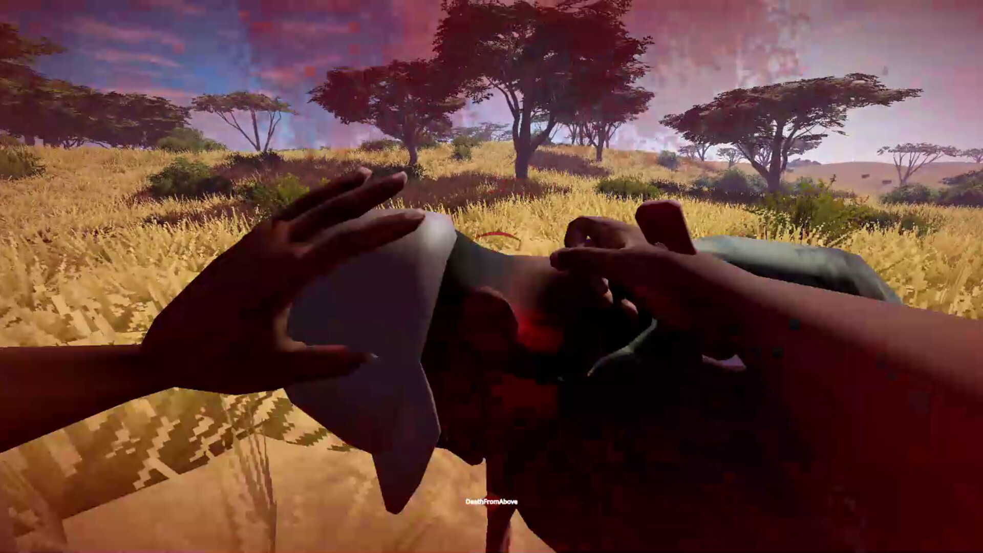 Red Tears: Angola