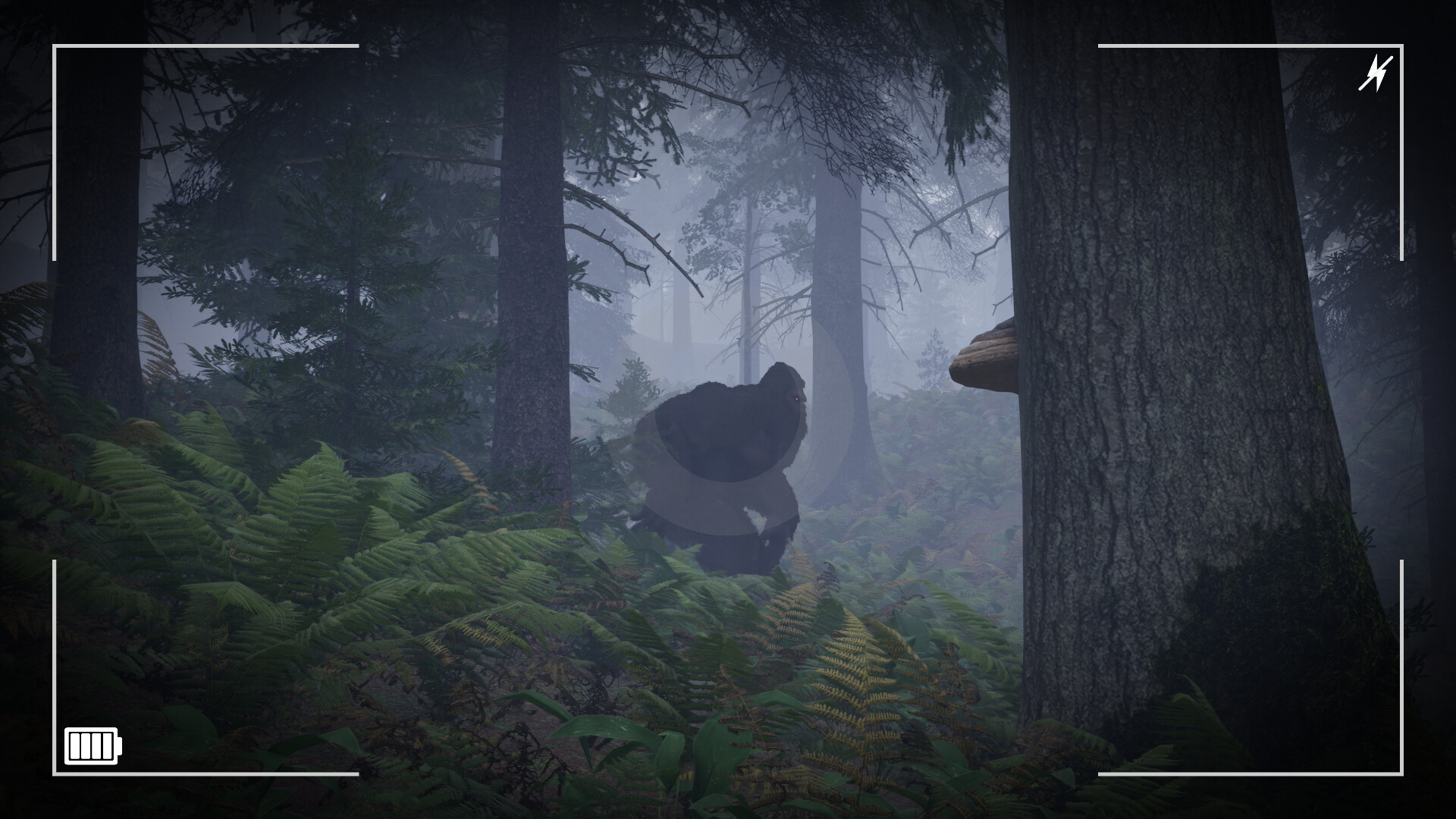 Trail of the Cryptid