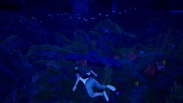 HRD 3 Pegasus Island