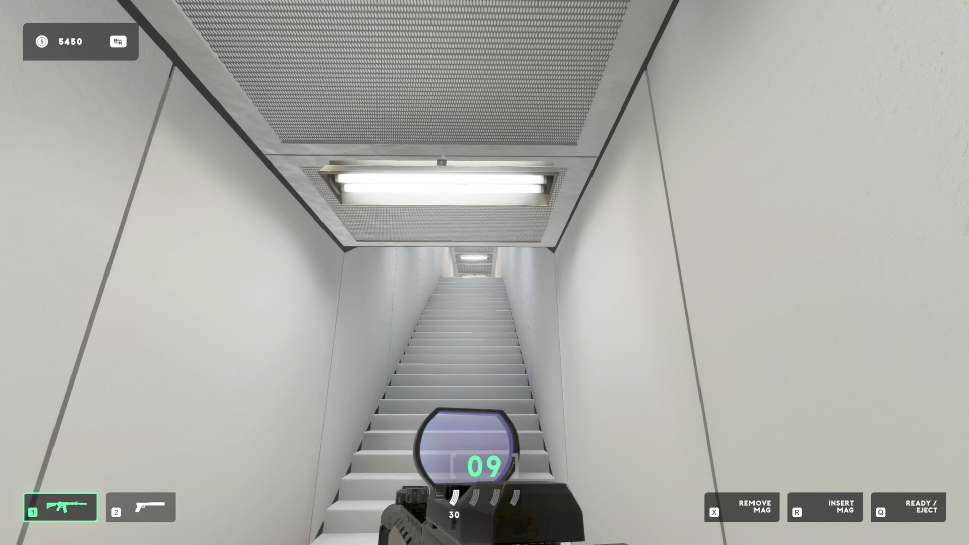 They Killed Your Cat