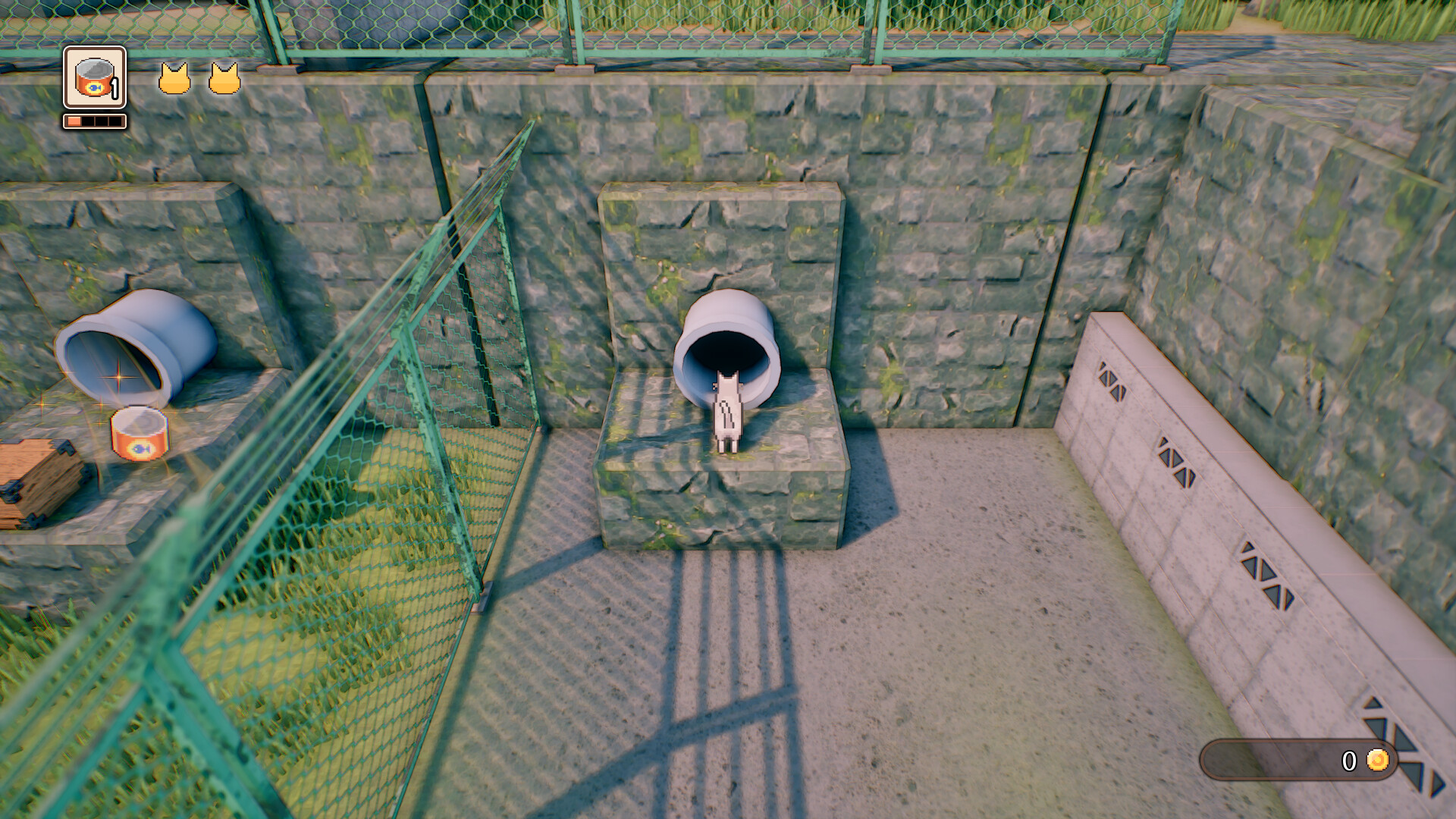 Rural Cat Trails