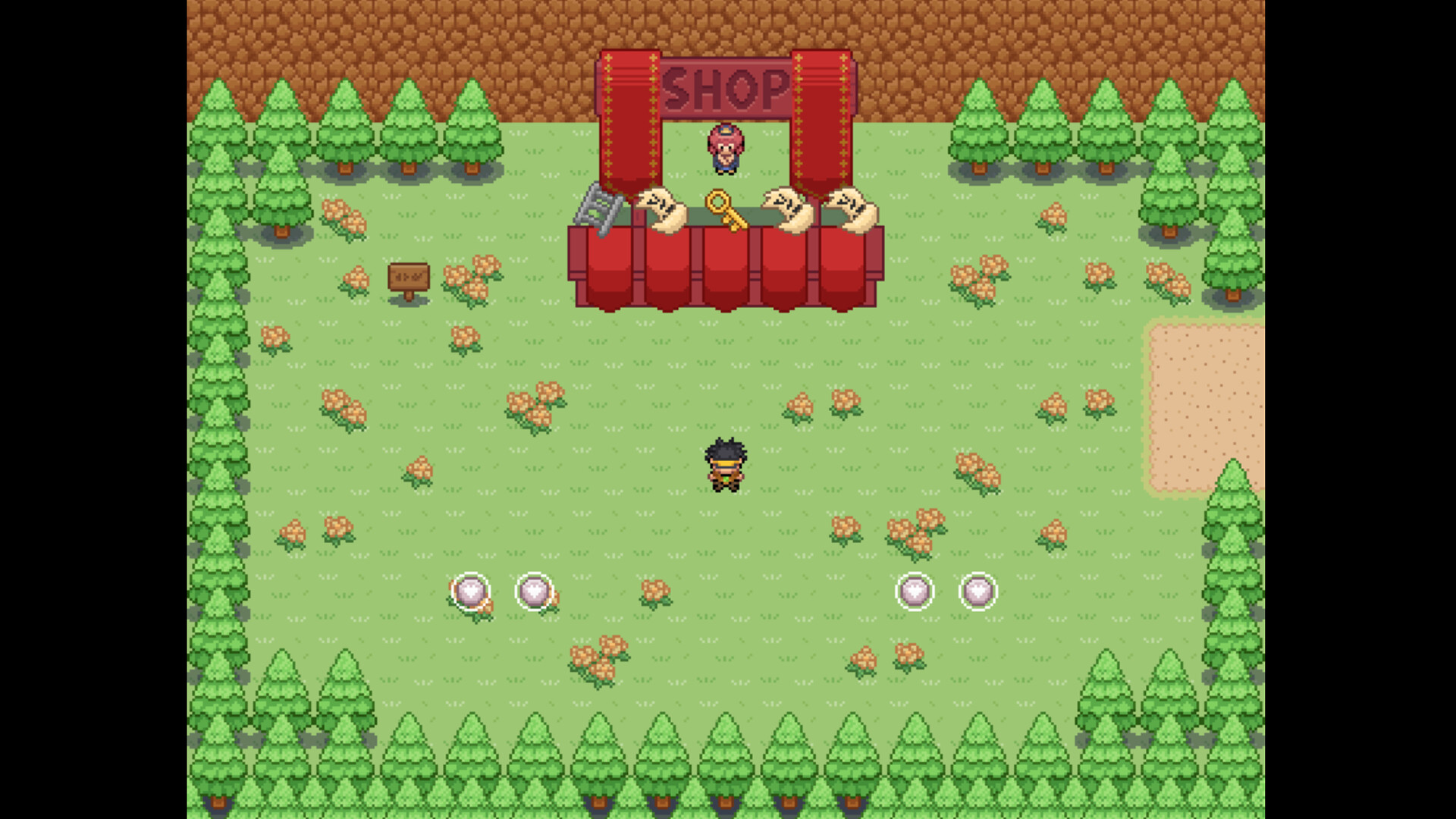 Hero of Cursed Island