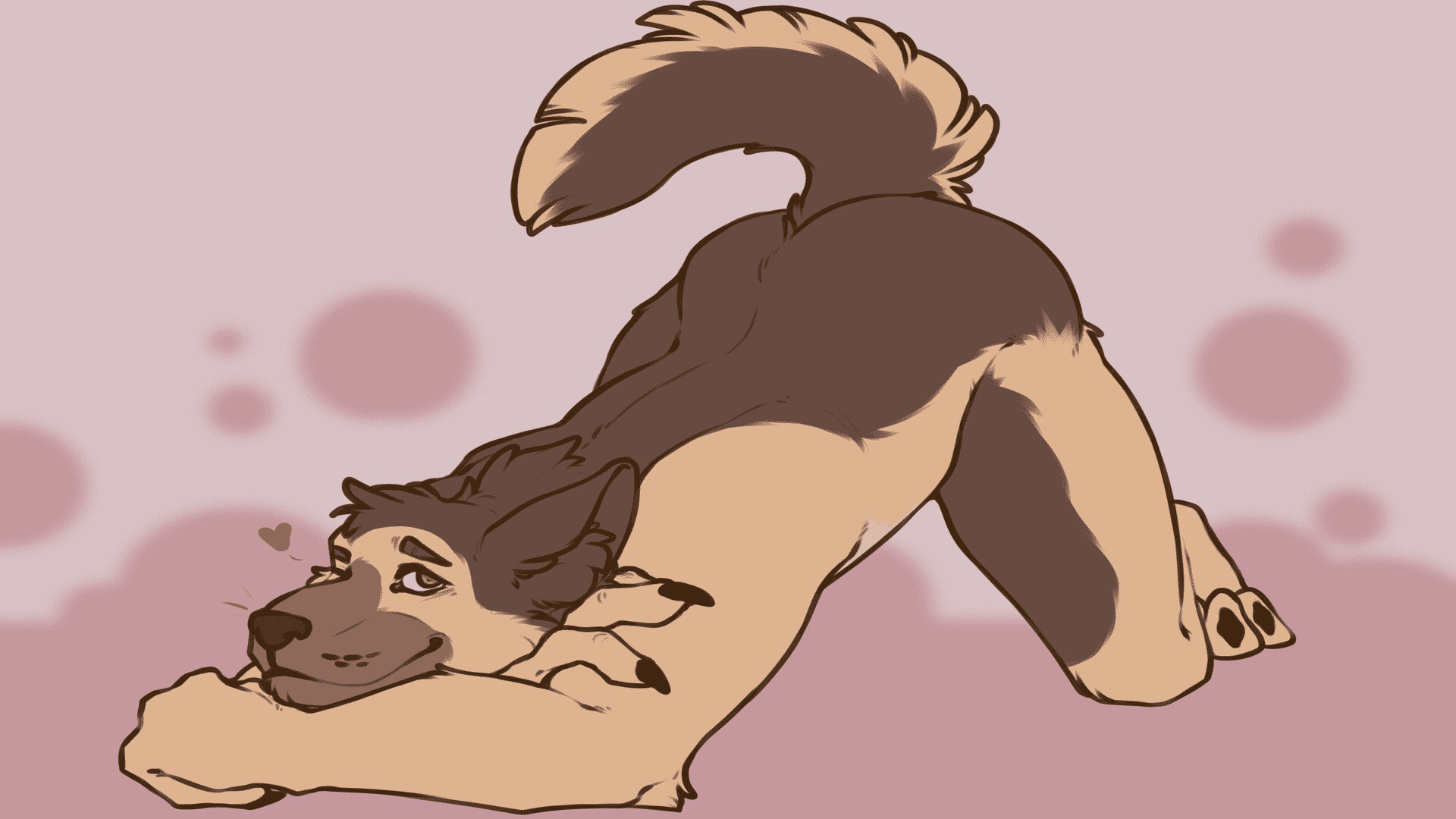 Bad Dog, Good Nights