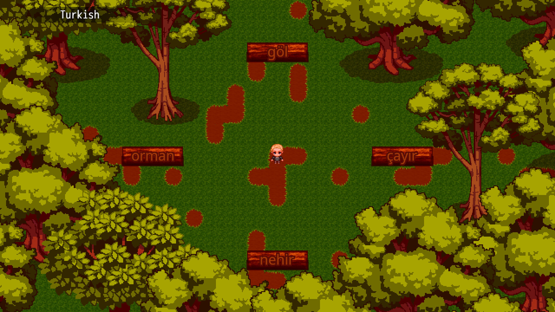 Lang Ops: Lost in Woods