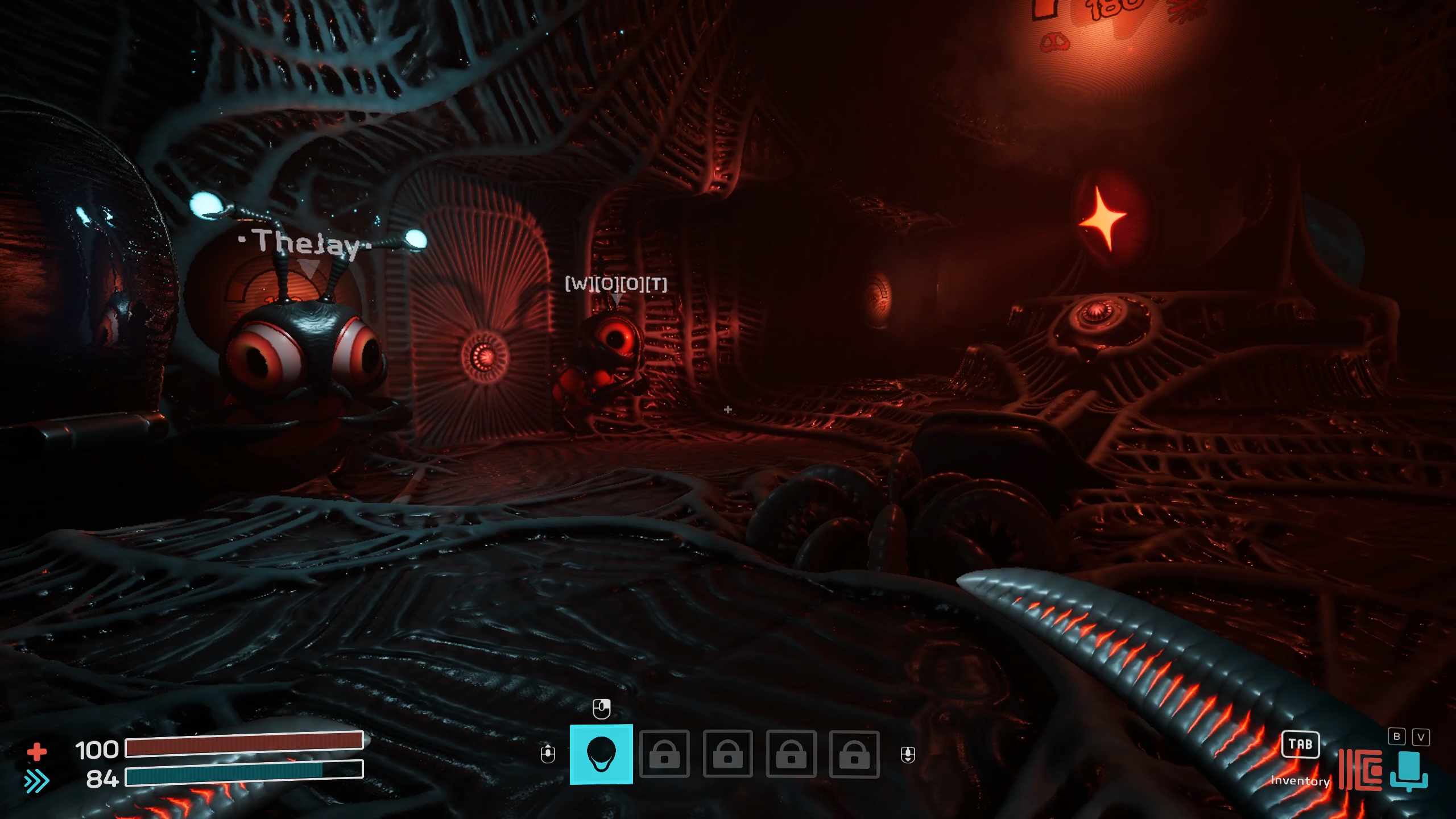 Dig Baby Dig Company