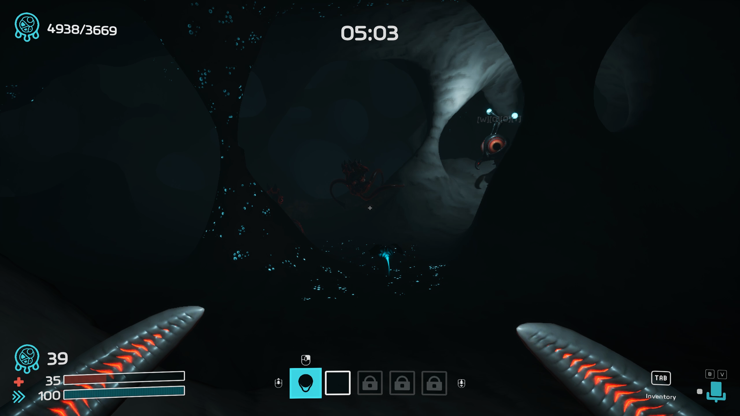 Dig Baby Dig Company