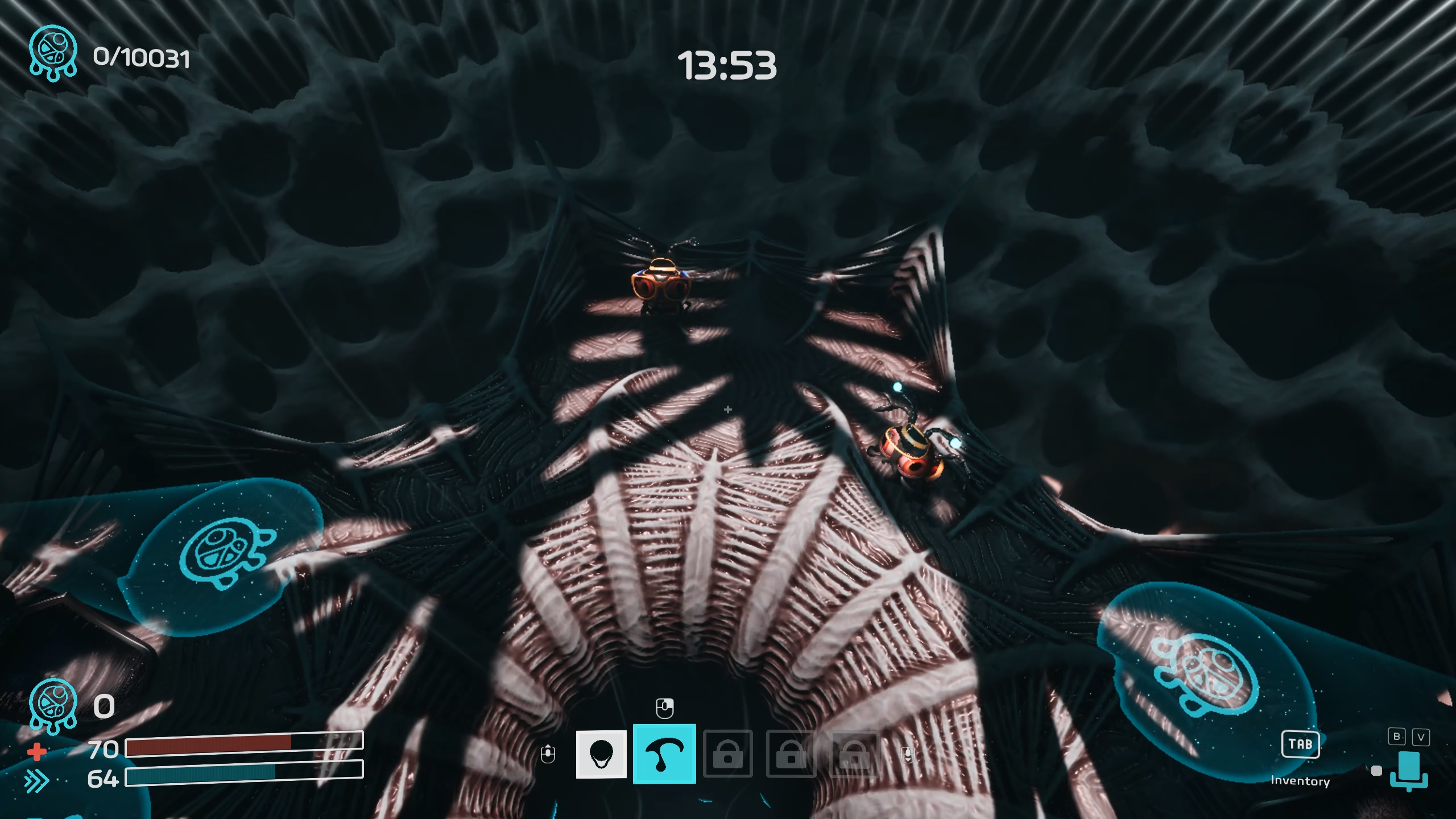 Dig Baby Dig Company