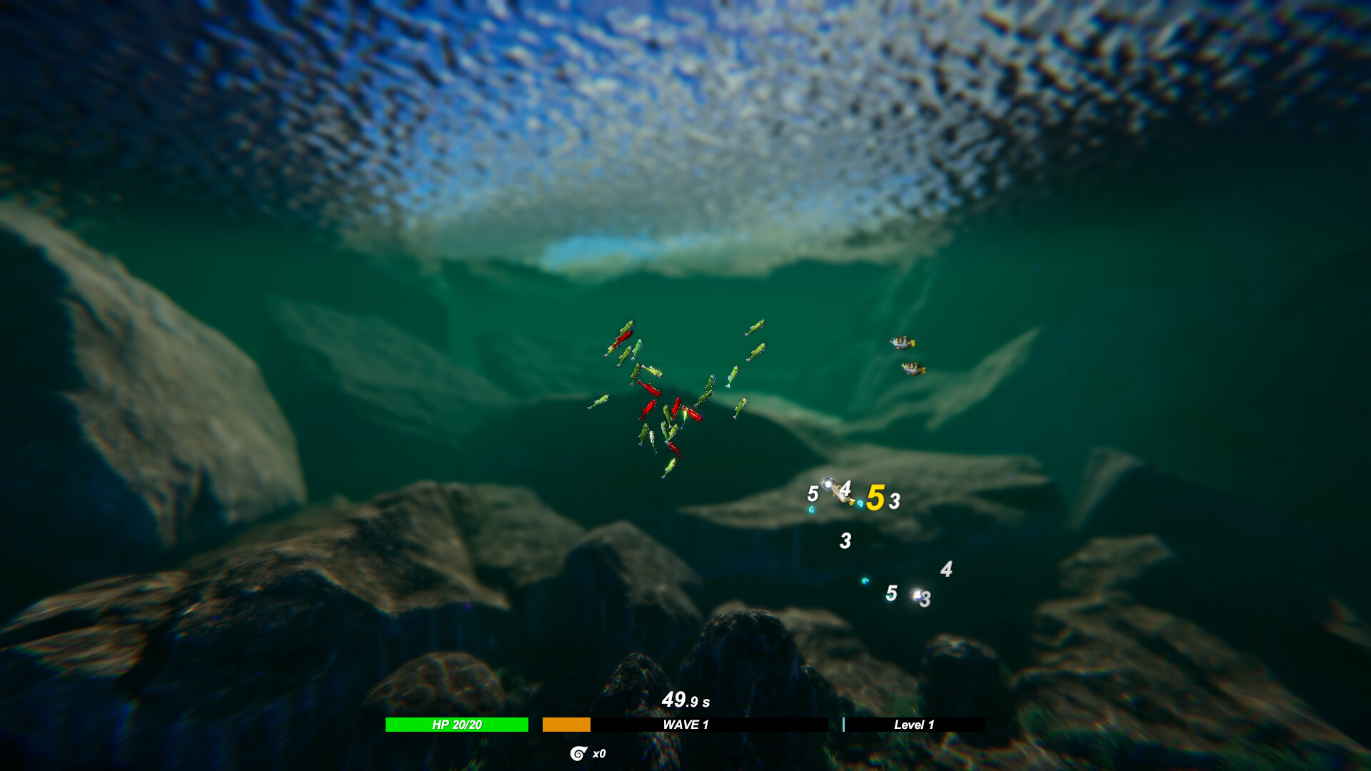 Fish Swarm: Within Inches