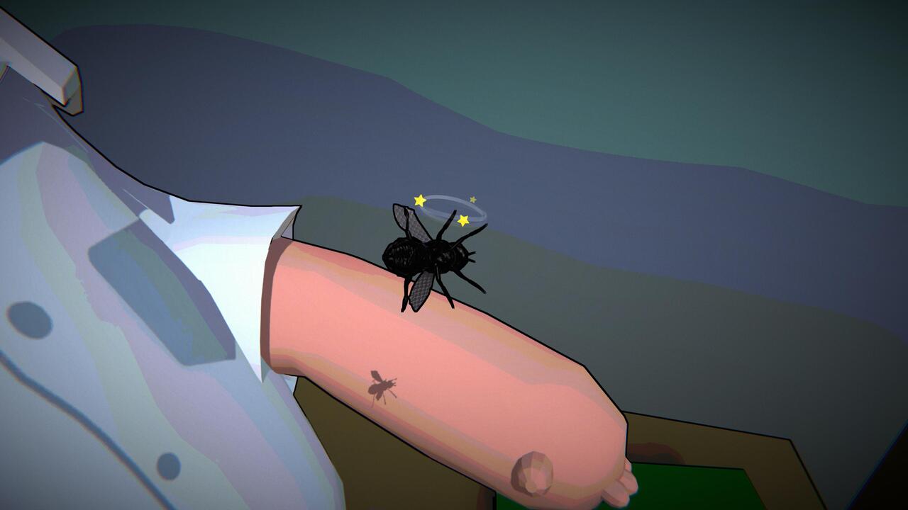 Fly for Fly
