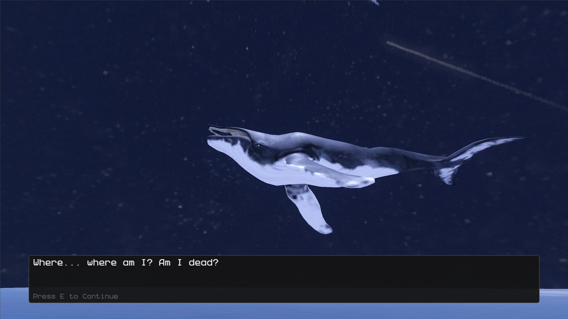 The Black Whale
