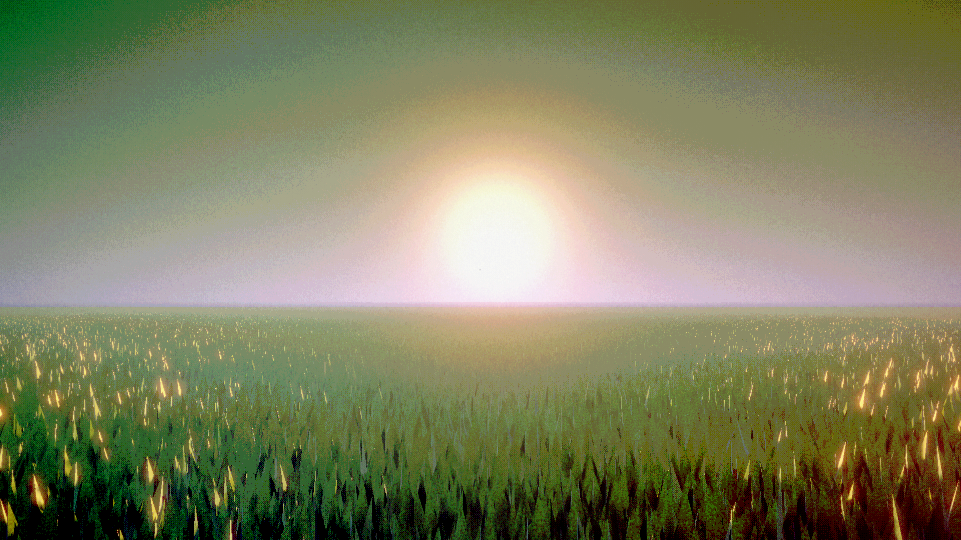 A show she never watched.