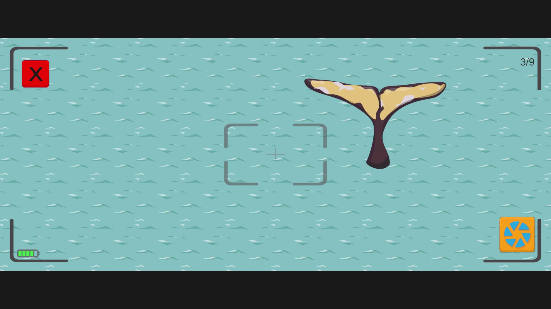 Expedição Antártica