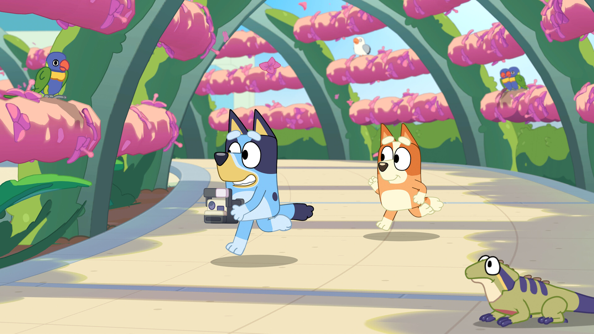 Bluey’s Happy Snaps