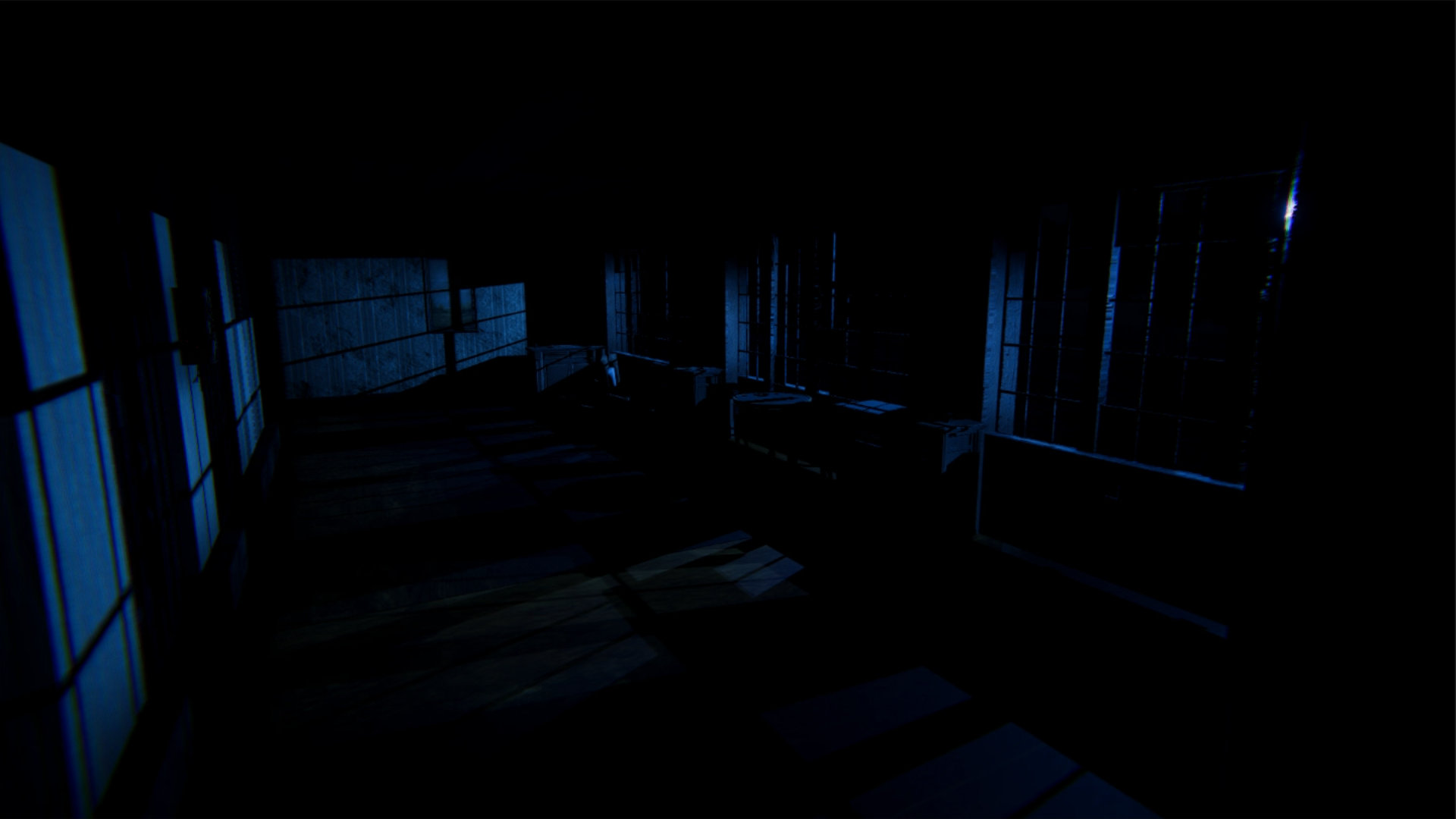 The Secret Story 1996