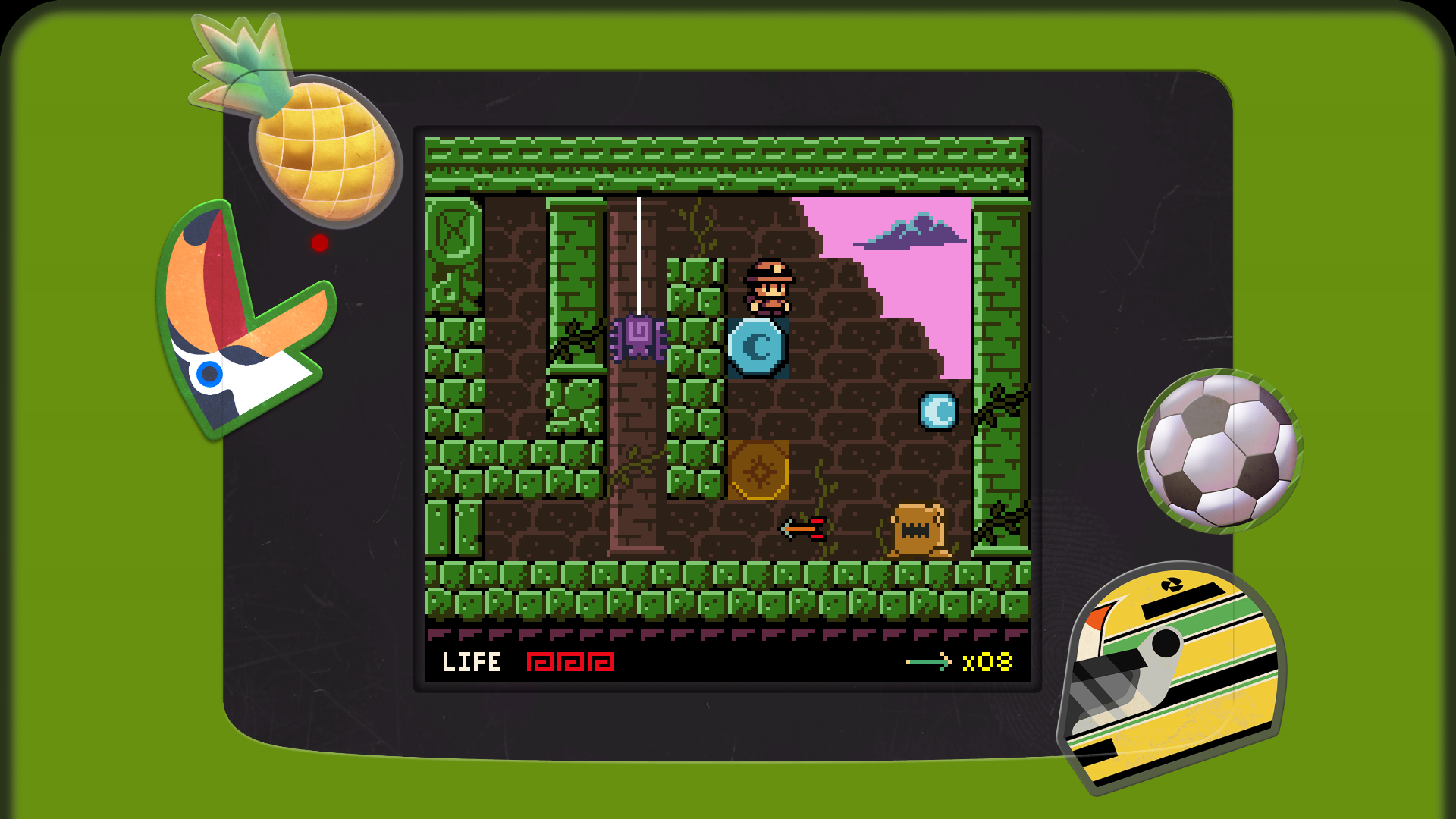 Raider Kid and the Ruby Chest