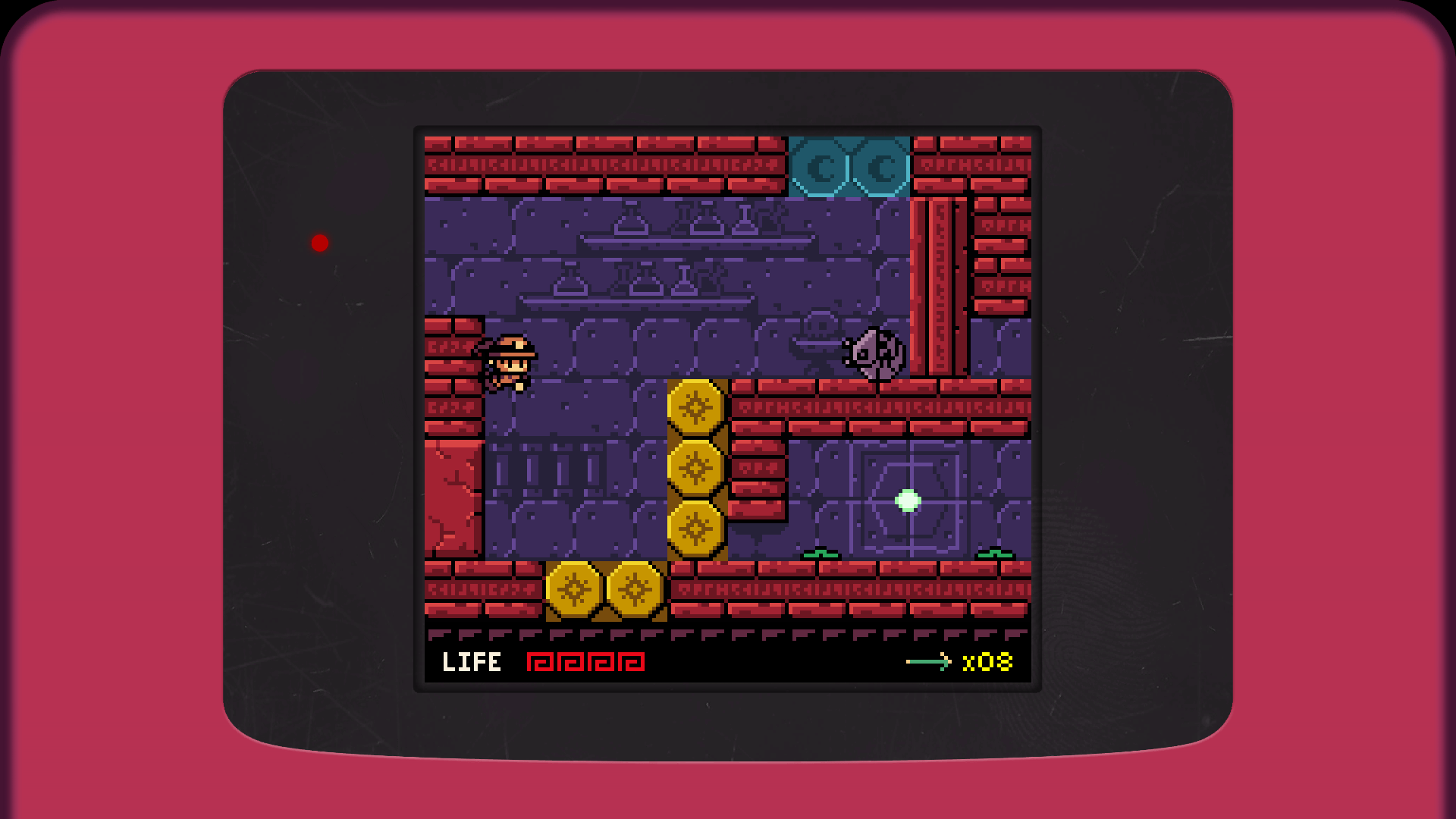 Raider Kid and the Ruby Chest