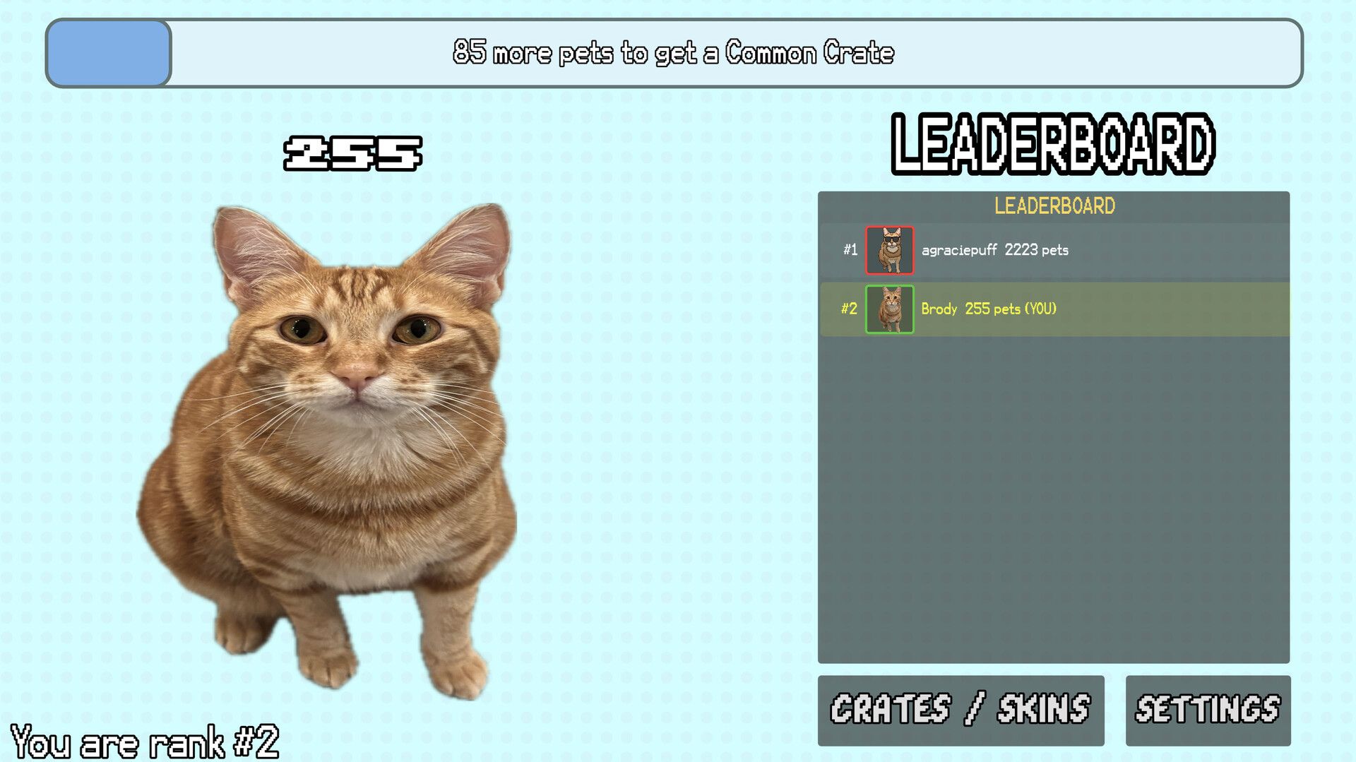 Silly Linguine Cat Simulator Deluxe Online