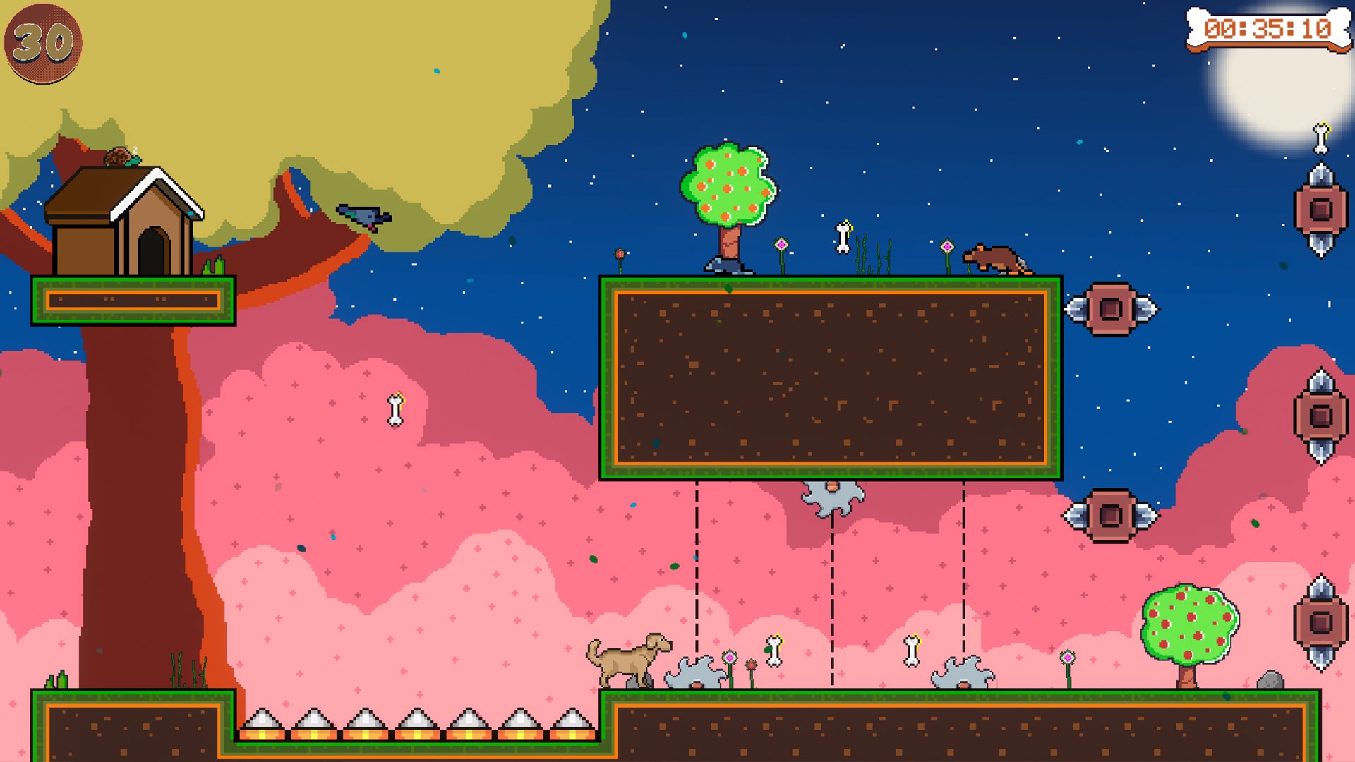 Fear Dog The Bolota Escape