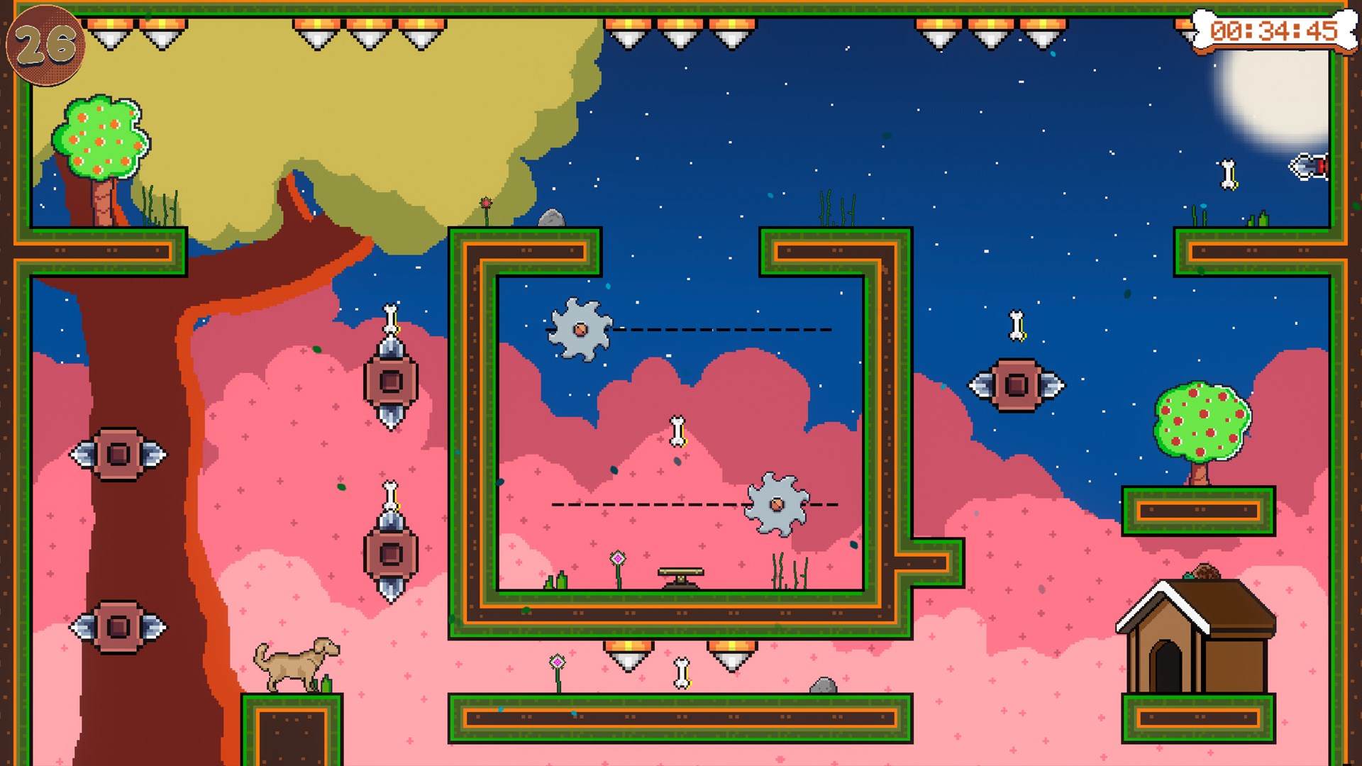 Fear Dog The Bolota Escape