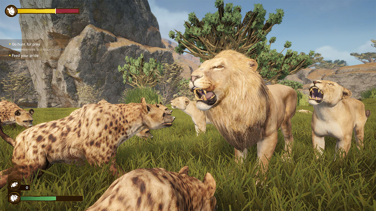 Lion Simulator RPG: Animal Battle Survive