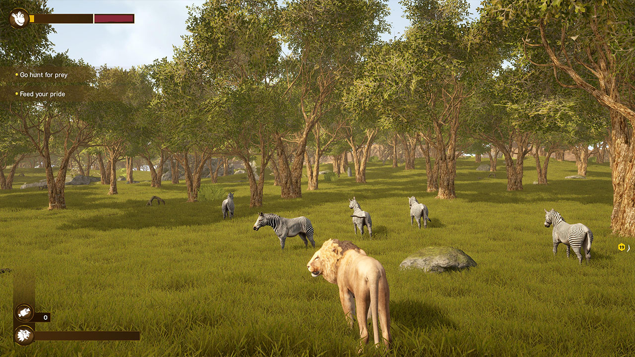 Lion Simulator RPG: Animal Battle Survive