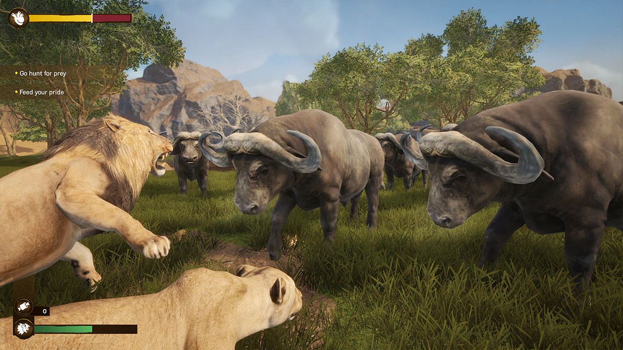 Lion Simulator RPG: Animal Battle Survive