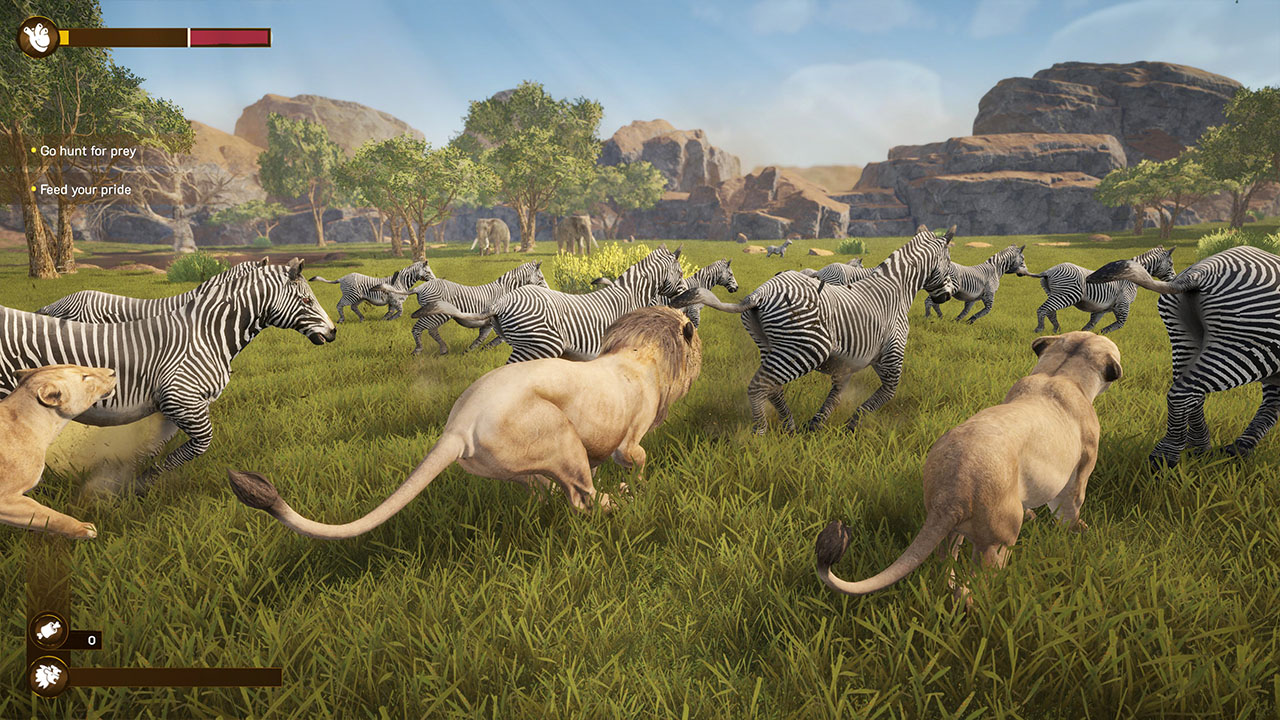 Lion Simulator RPG: Animal Battle Survive