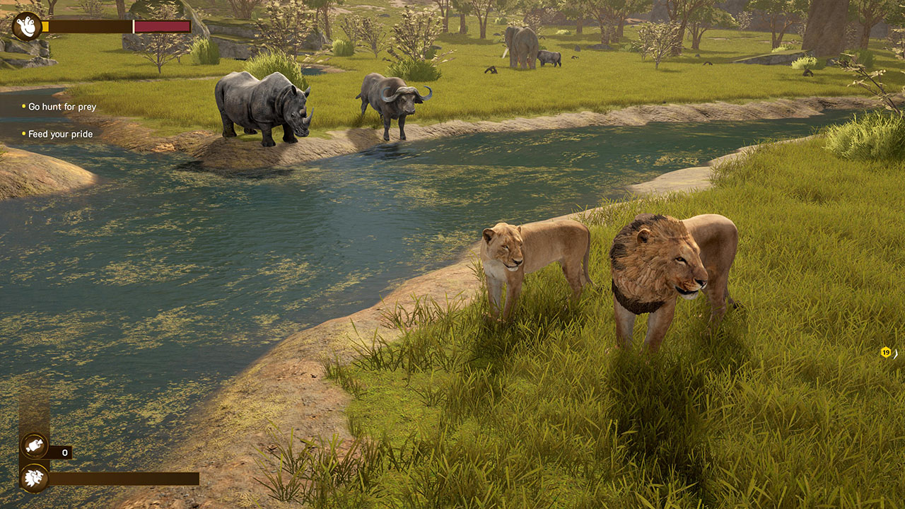 Lion Simulator RPG: Animal Battle Survive