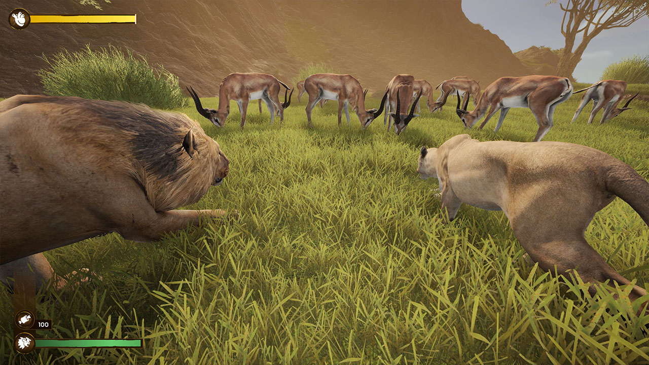 Lion Simulator RPG: Animal Battle Survive
