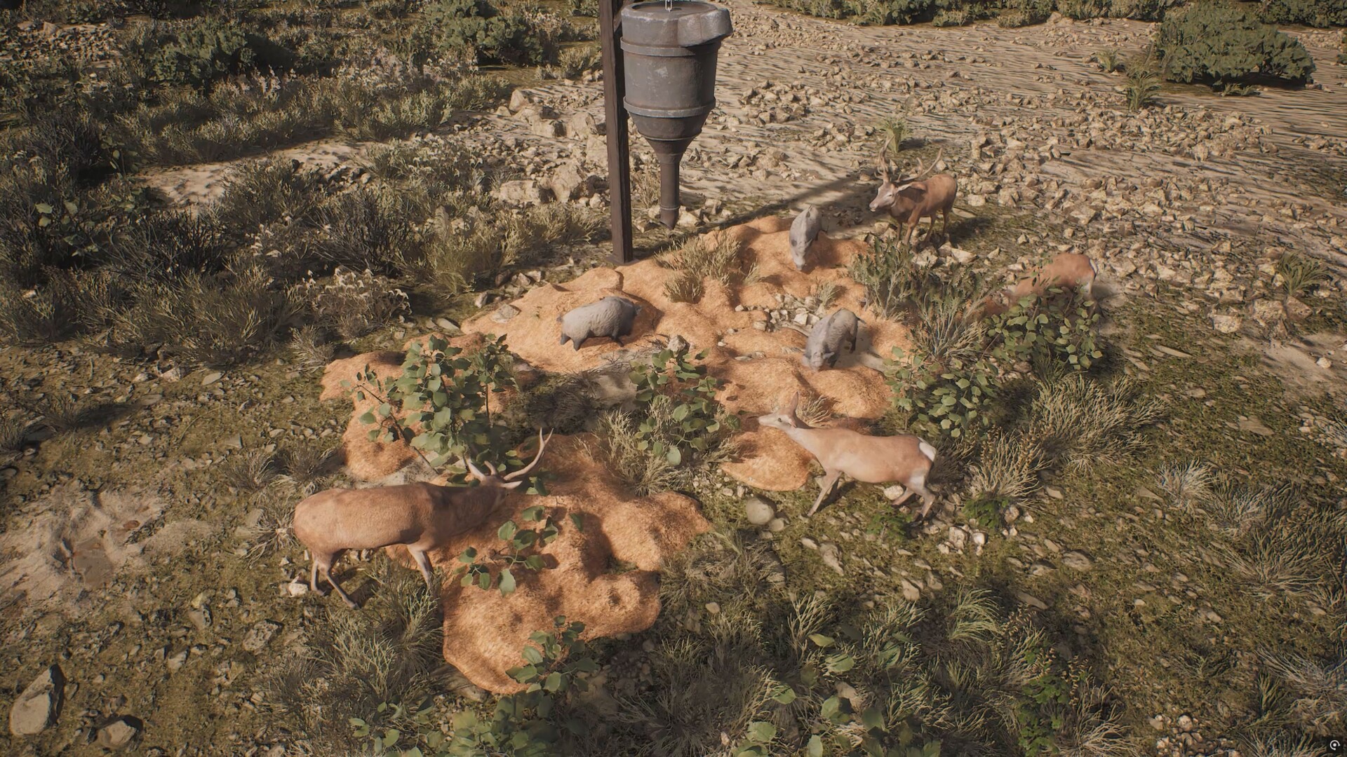 Project Hunt: Lone Star Hunting Ranch