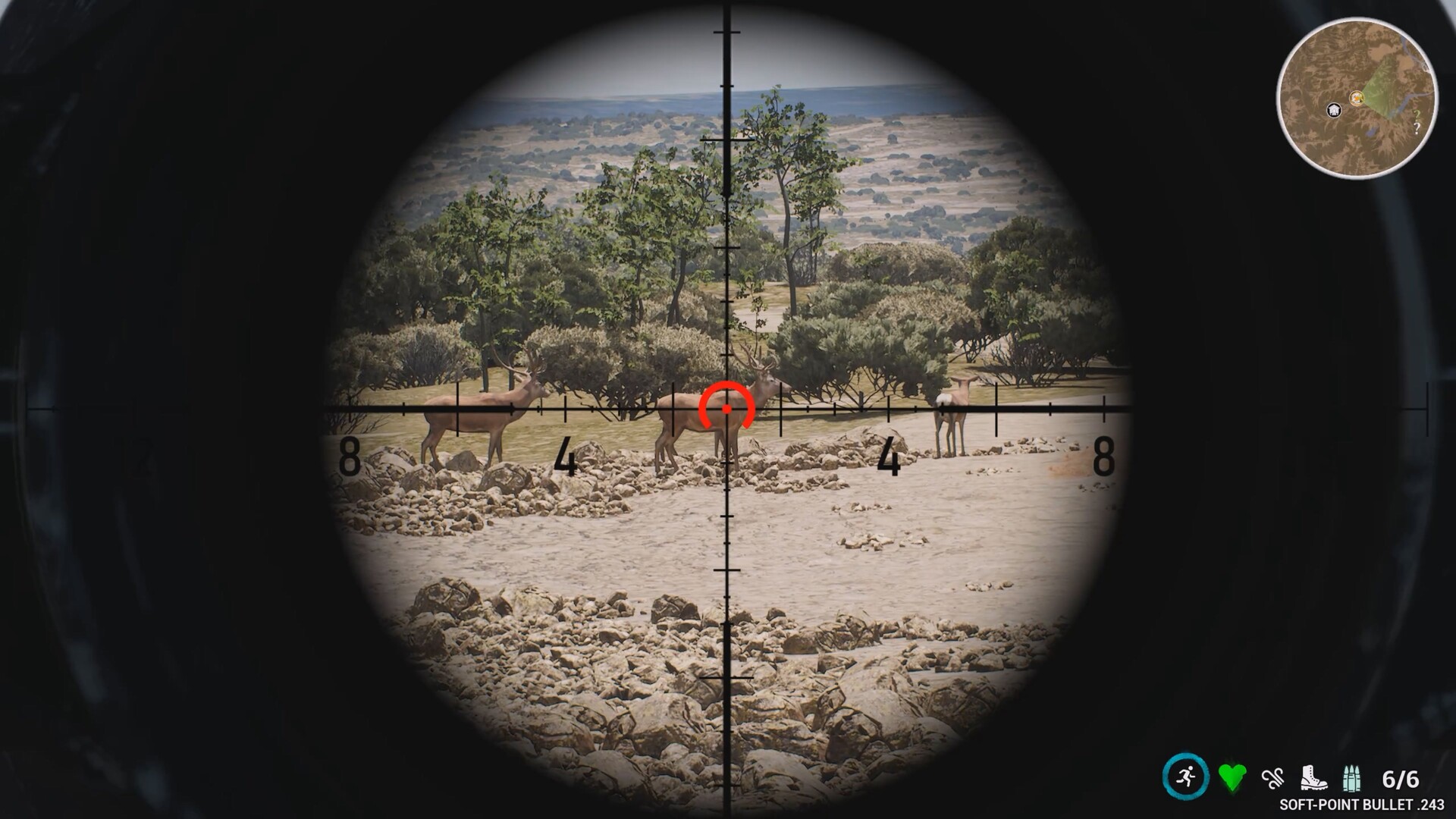 Project Hunt: Lone Star Hunting Ranch