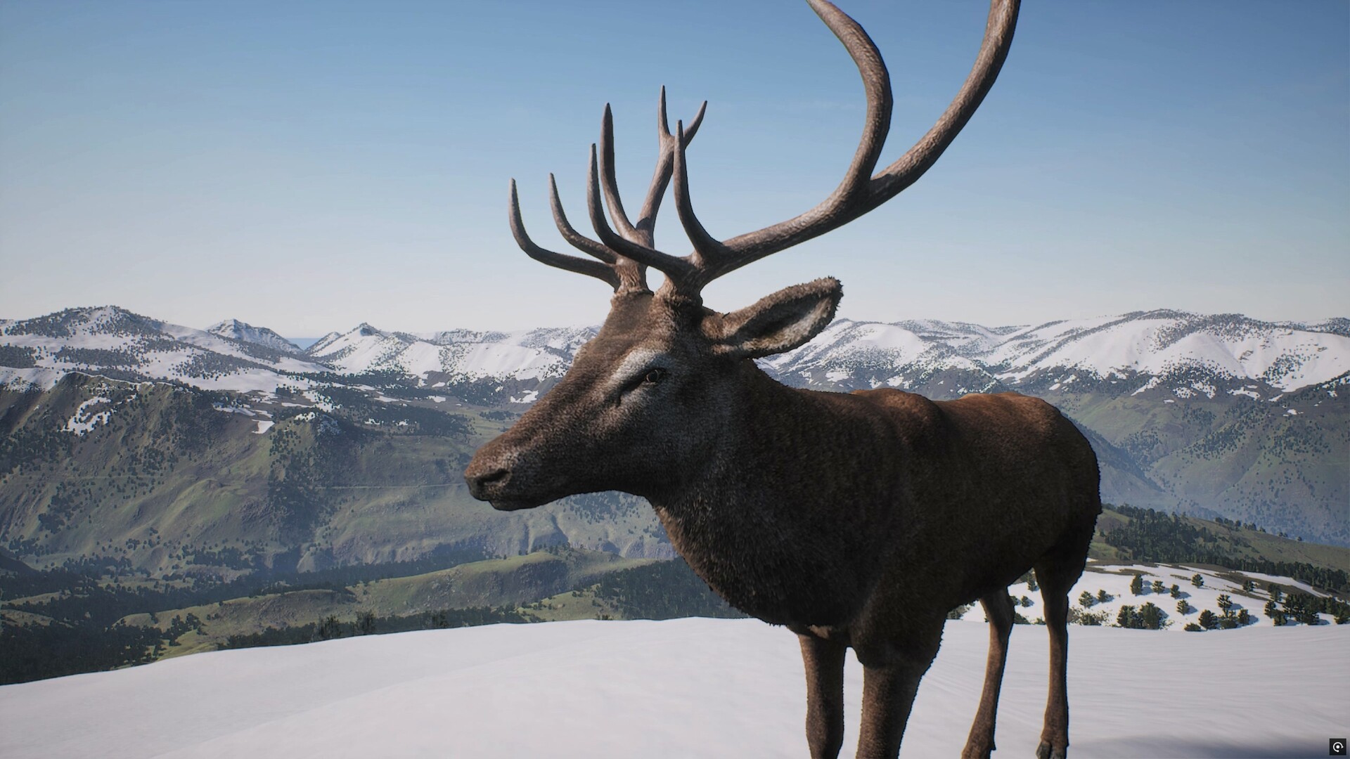 Project Hunt: Trophy Sanctuary