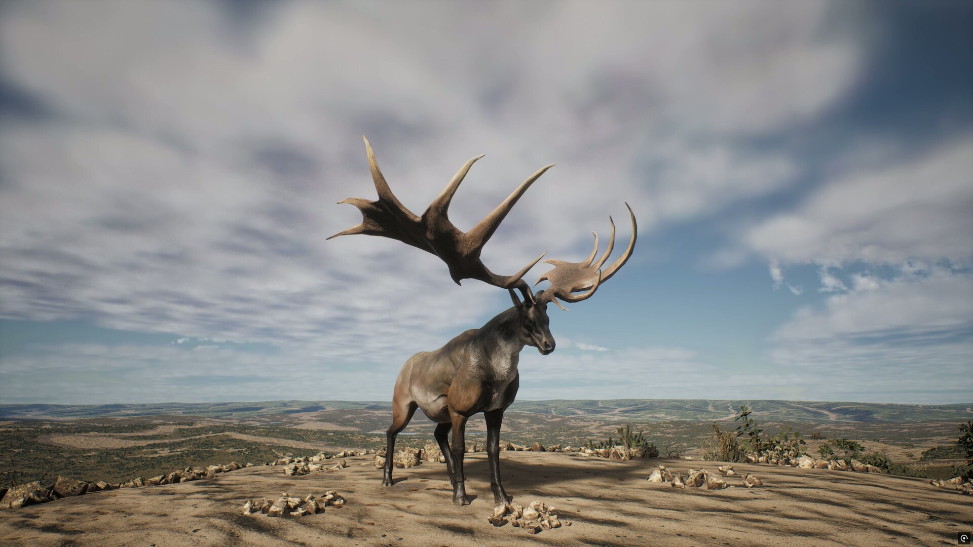 Project Hunt: Lone Star Hunting Ranch